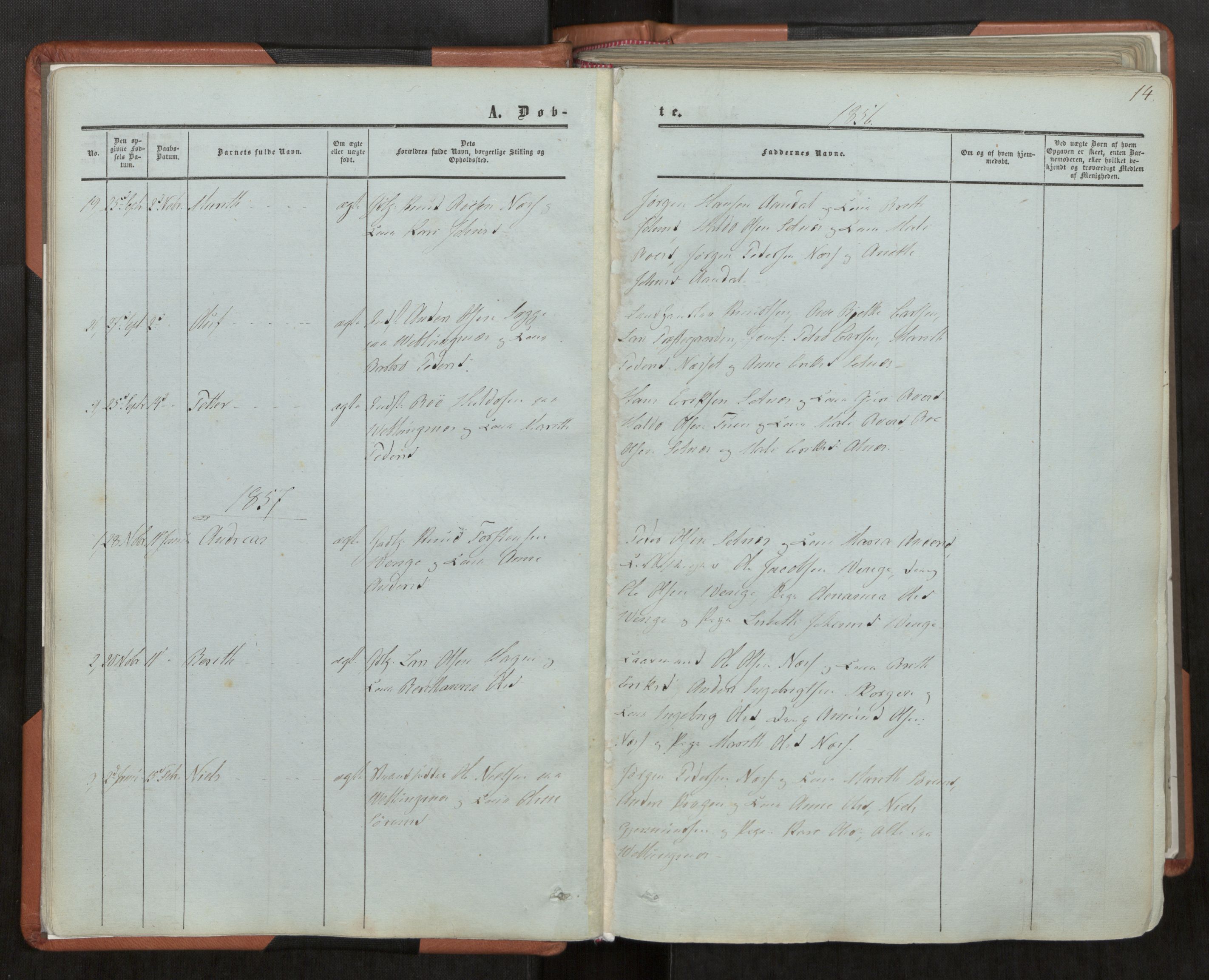 Ministerialprotokoller, klokkerbøker og fødselsregistre - Møre og Romsdal, AV/SAT-A-1454/544/L0572: Ministerialbok nr. 544A05, 1854-1886, s. 14