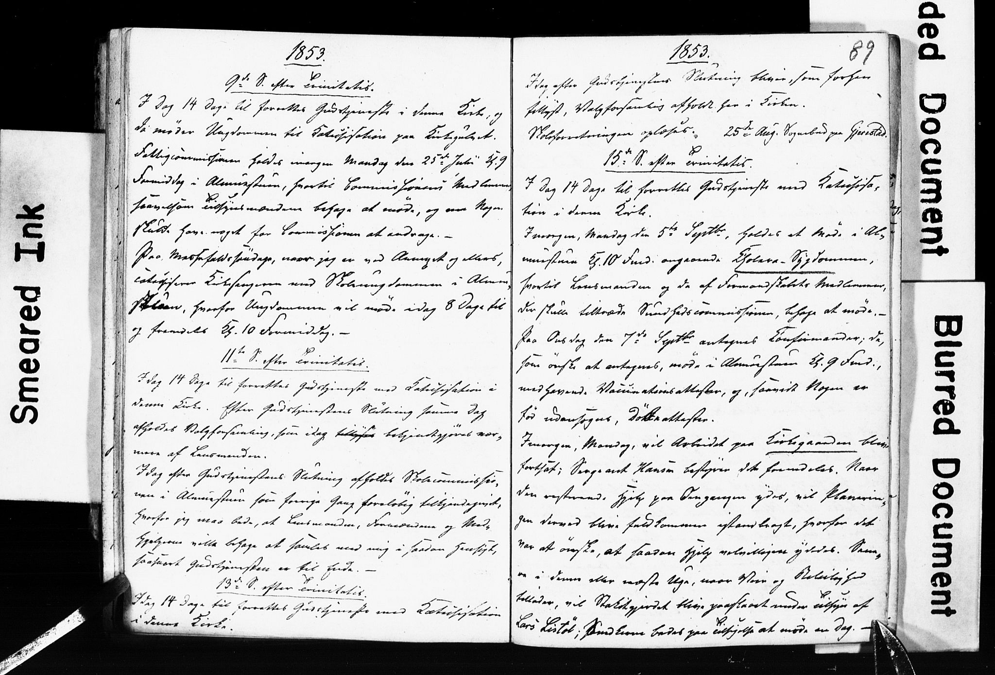 Gjerstad sokneprestkontor, AV/SAK-1111-0014/J/Jd/L0004: Lysningsprotokoll nr. A VI 12, 1845-1872, s. 88-89