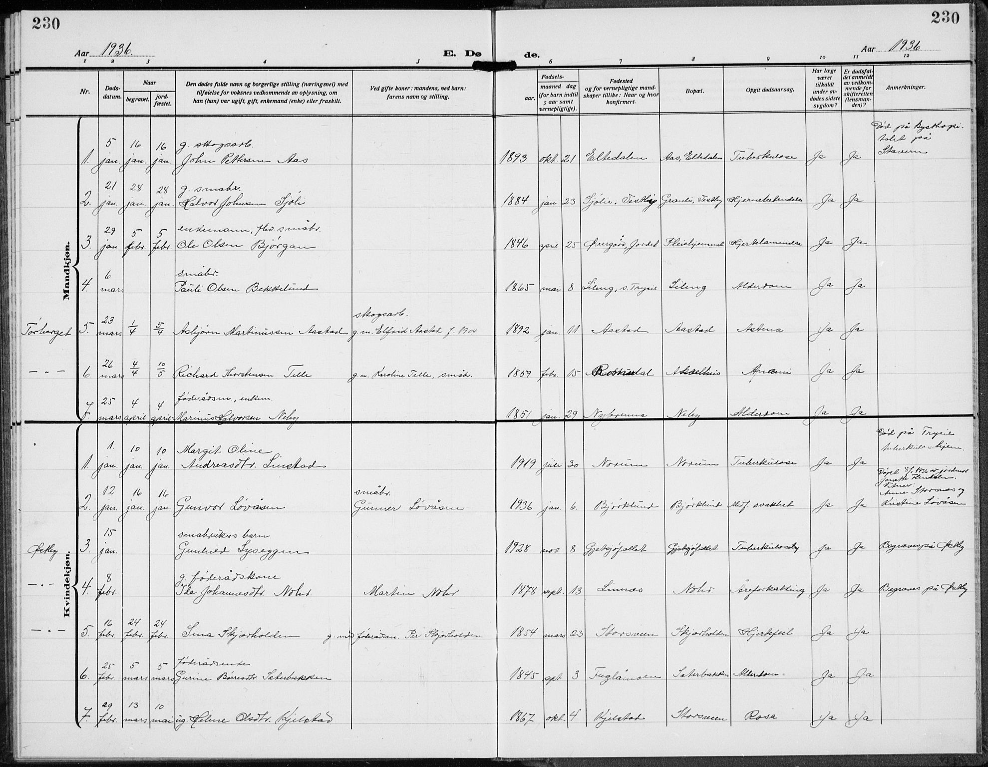 Trysil prestekontor, SAH/PREST-046/H/Ha/Hab/L0010: Klokkerbok nr. 10, 1917-1937, s. 230