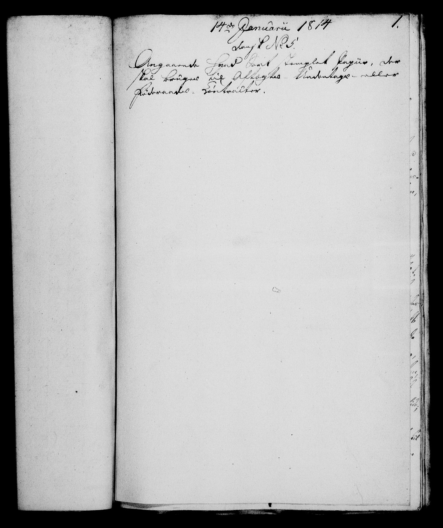 Rentekammeret, Kammerkanselliet, RA/EA-3111/G/Gf/Gfa/L0095: Norsk relasjons- og resolusjonsprotokoll (merket RK 52.95), 1813-1814, s. 555
