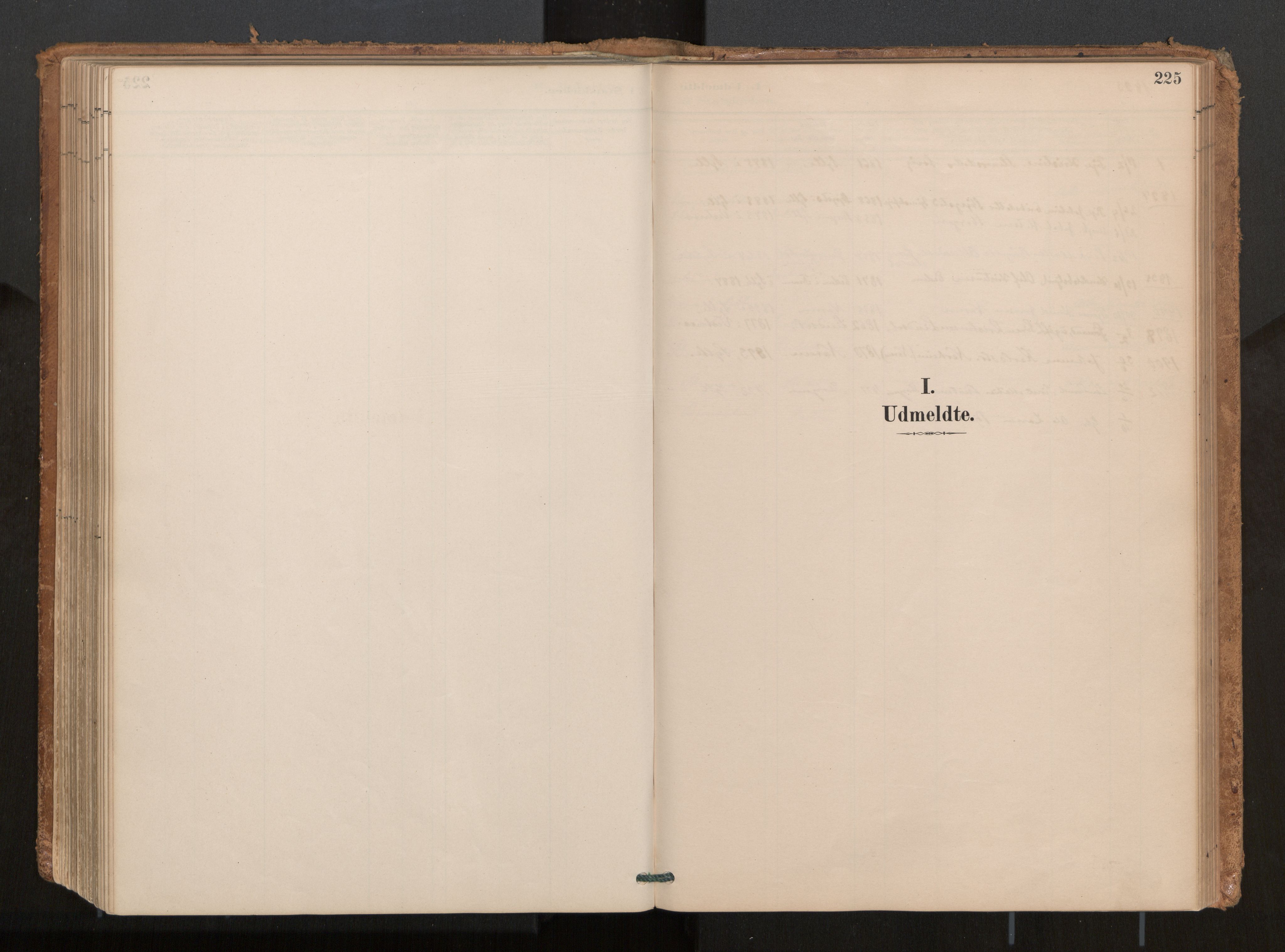 Ministerialprotokoller, klokkerbøker og fødselsregistre - Møre og Romsdal, SAT/A-1454/541/L0545a: Ministerialbok nr. 541A03, 1887-1912, s. 225