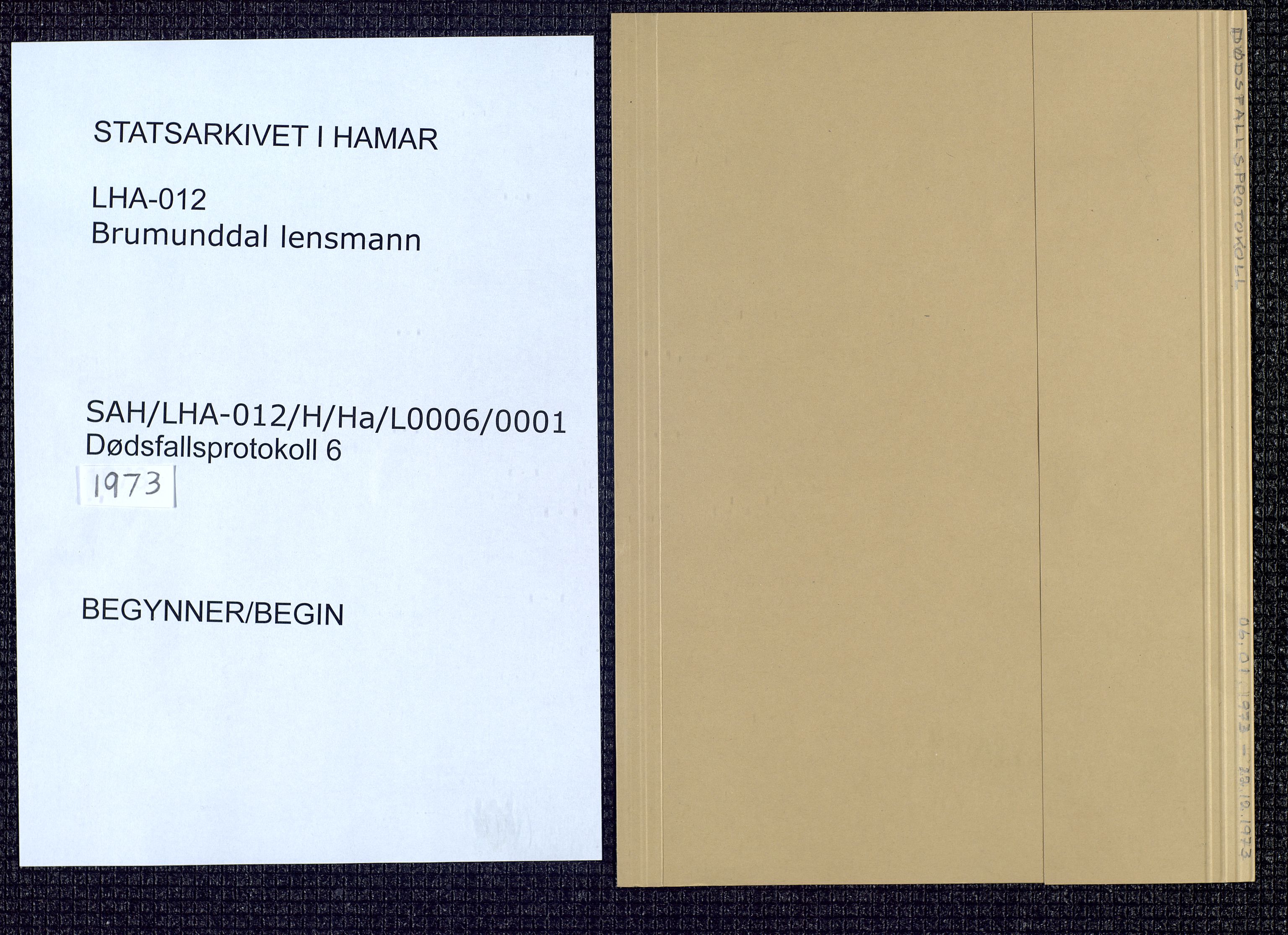 Brumunddal lensmannskontor, SAH/LHR-012/H/Ha/L0006/0001: Dødsfallsprotokoll  / Dødsfallsprotokoll, 1973