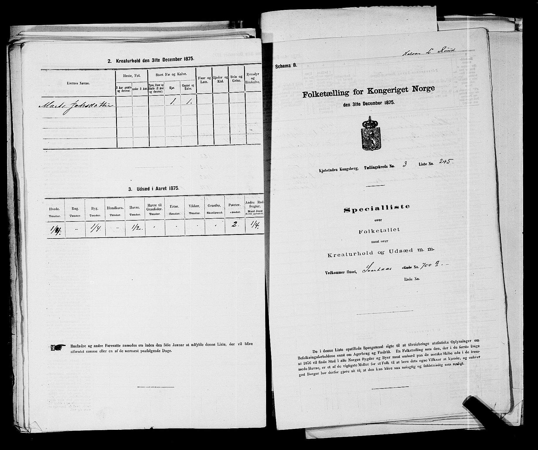 SAKO, Folketelling 1875 for 0604B Kongsberg prestegjeld, Kongsberg kjøpstad, 1875, s. 557