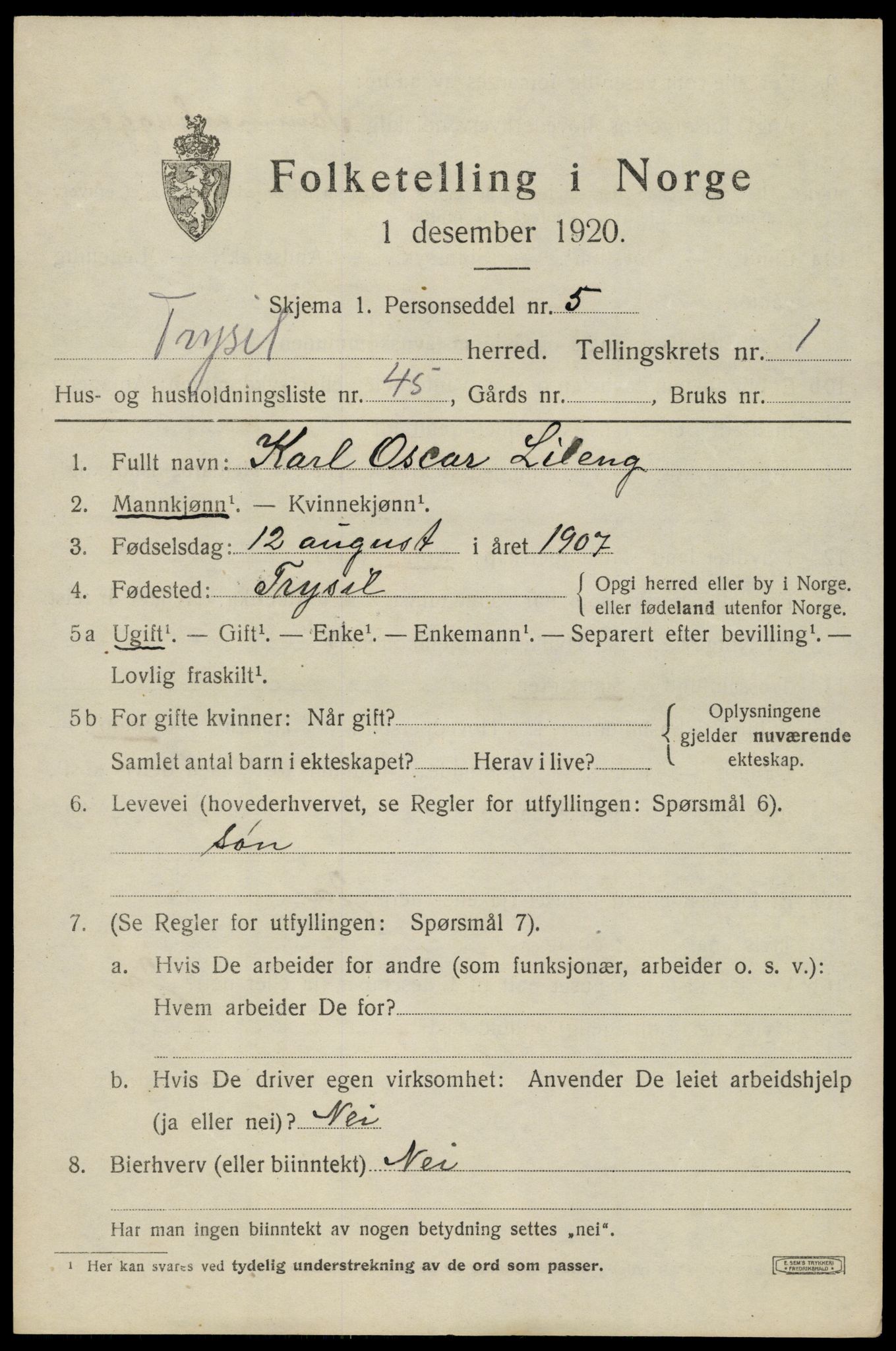 SAH, Folketelling 1920 for 0428 Trysil herred, 1920, s. 3065