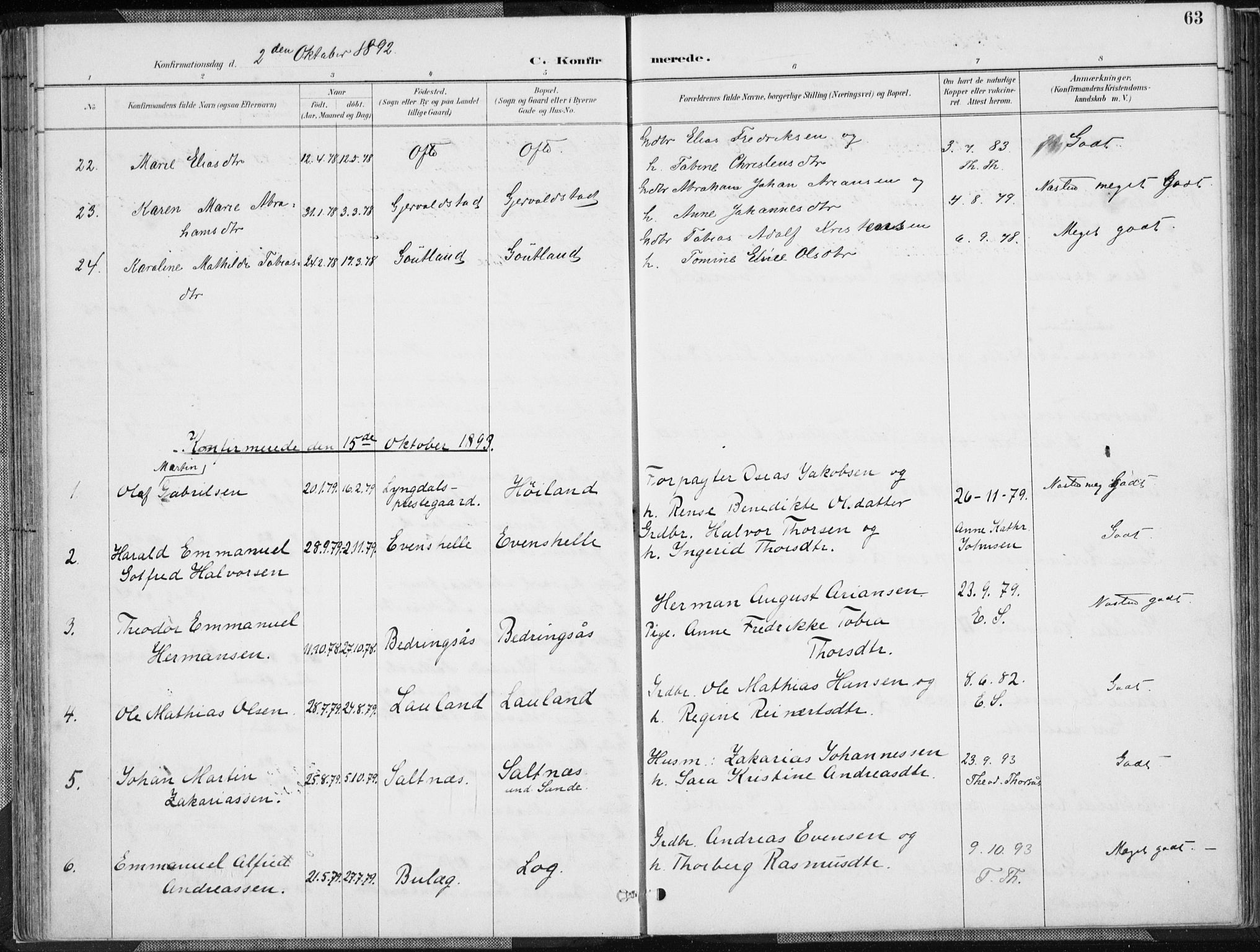 Herad sokneprestkontor, SAK/1111-0018/F/Fa/Faa/L0006: Ministerialbok nr. A 6, 1887-1907, s. 63
