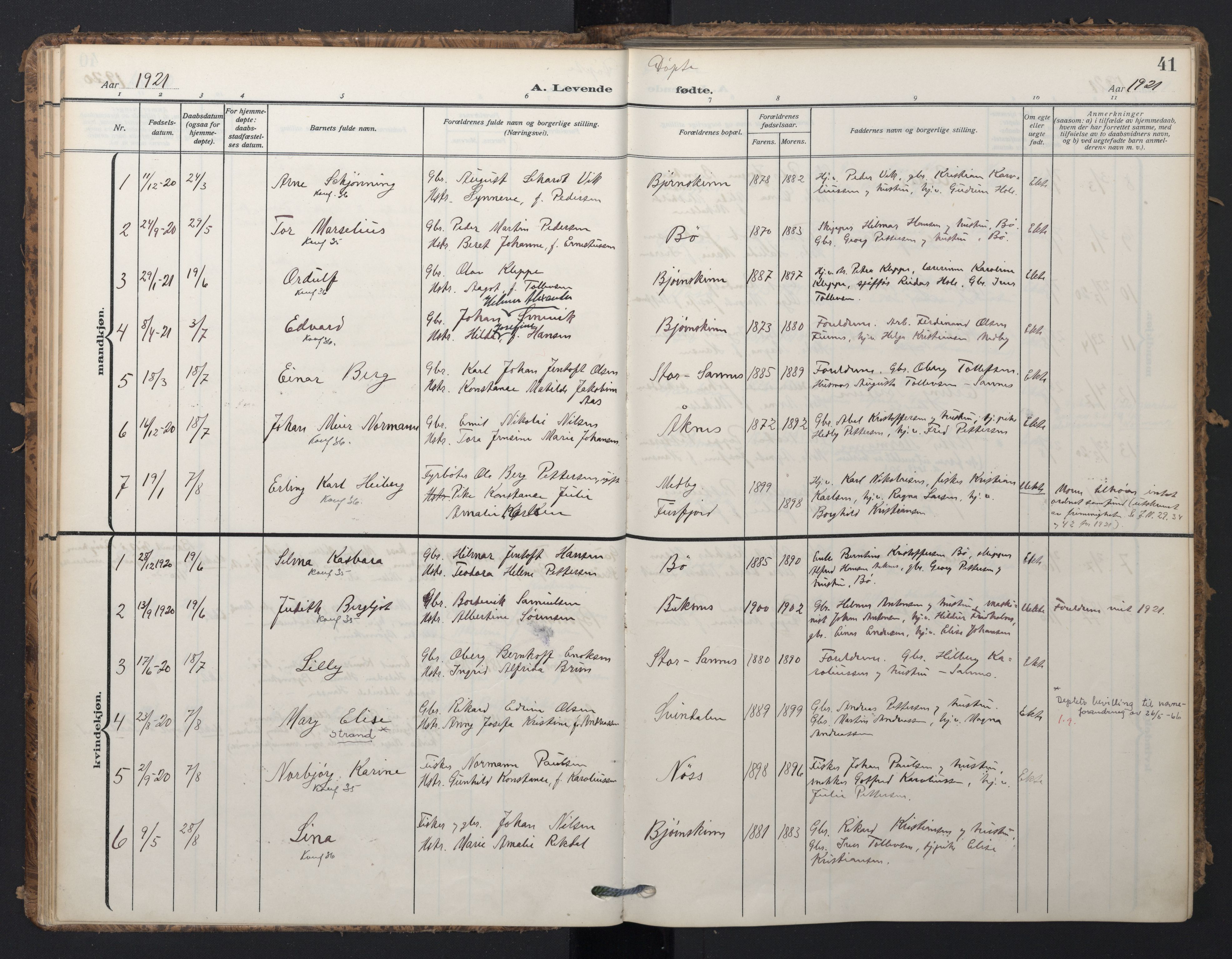 Ministerialprotokoller, klokkerbøker og fødselsregistre - Nordland, AV/SAT-A-1459/898/L1423: Ministerialbok nr. 898A03, 1909-1928, s. 41