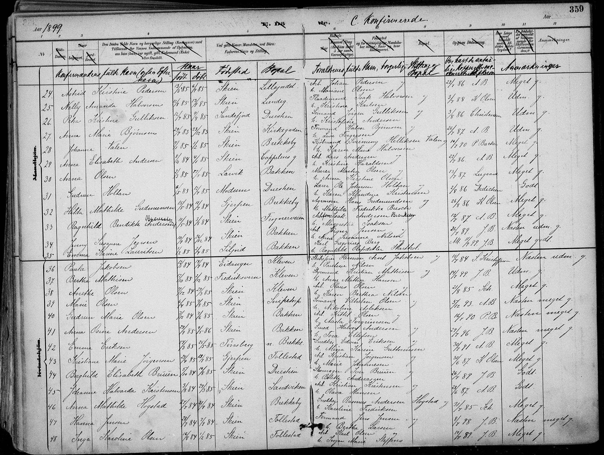 Skien kirkebøker, AV/SAKO-A-302/F/Fa/L0010: Ministerialbok nr. 10, 1891-1899, s. 359