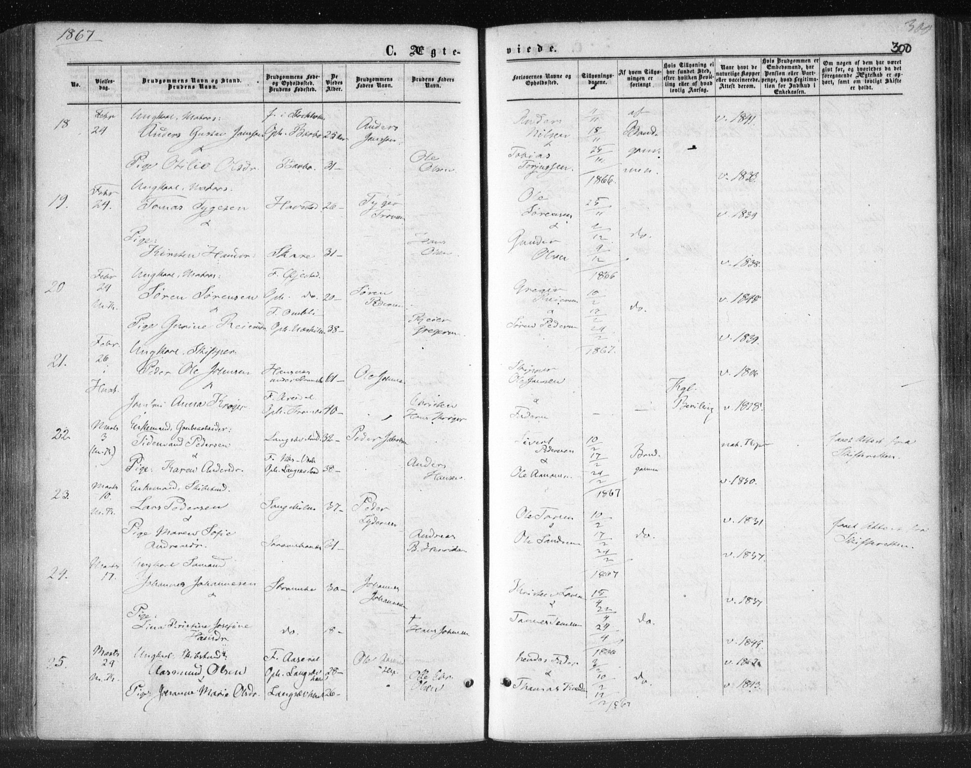 Tromøy sokneprestkontor, AV/SAK-1111-0041/F/Fa/L0007: Ministerialbok nr. A 7, 1864-1869, s. 300