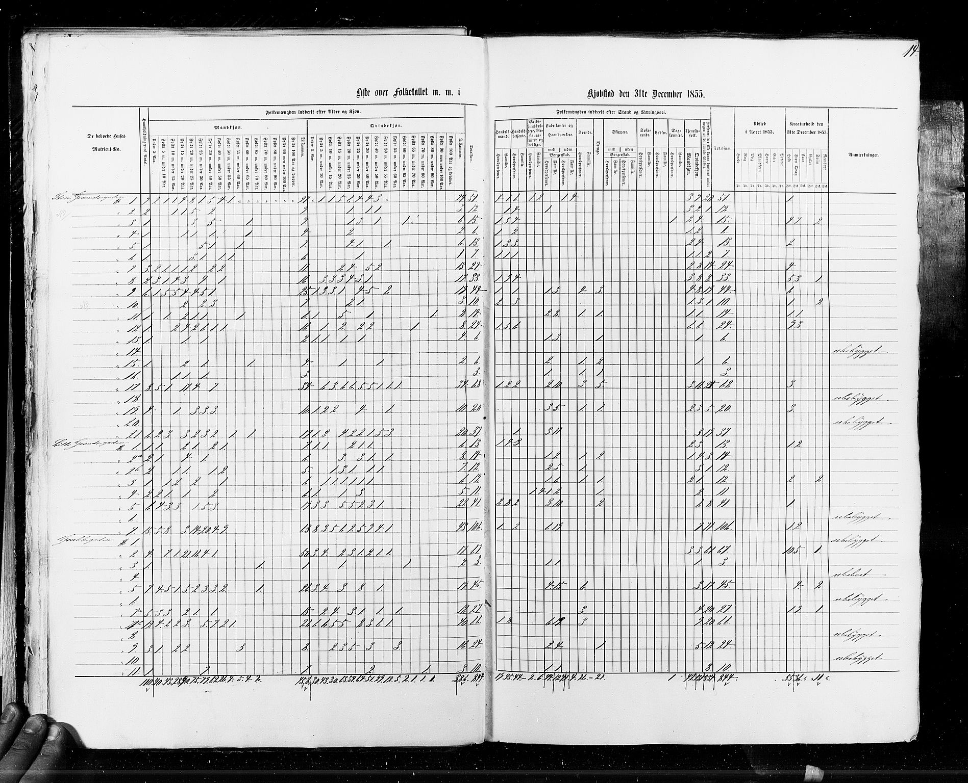 RA, Folketellingen 1855, bind 7: Kjøpsteder og ladesteder: Fredrikshald-Kragerø, 1855, s. 14