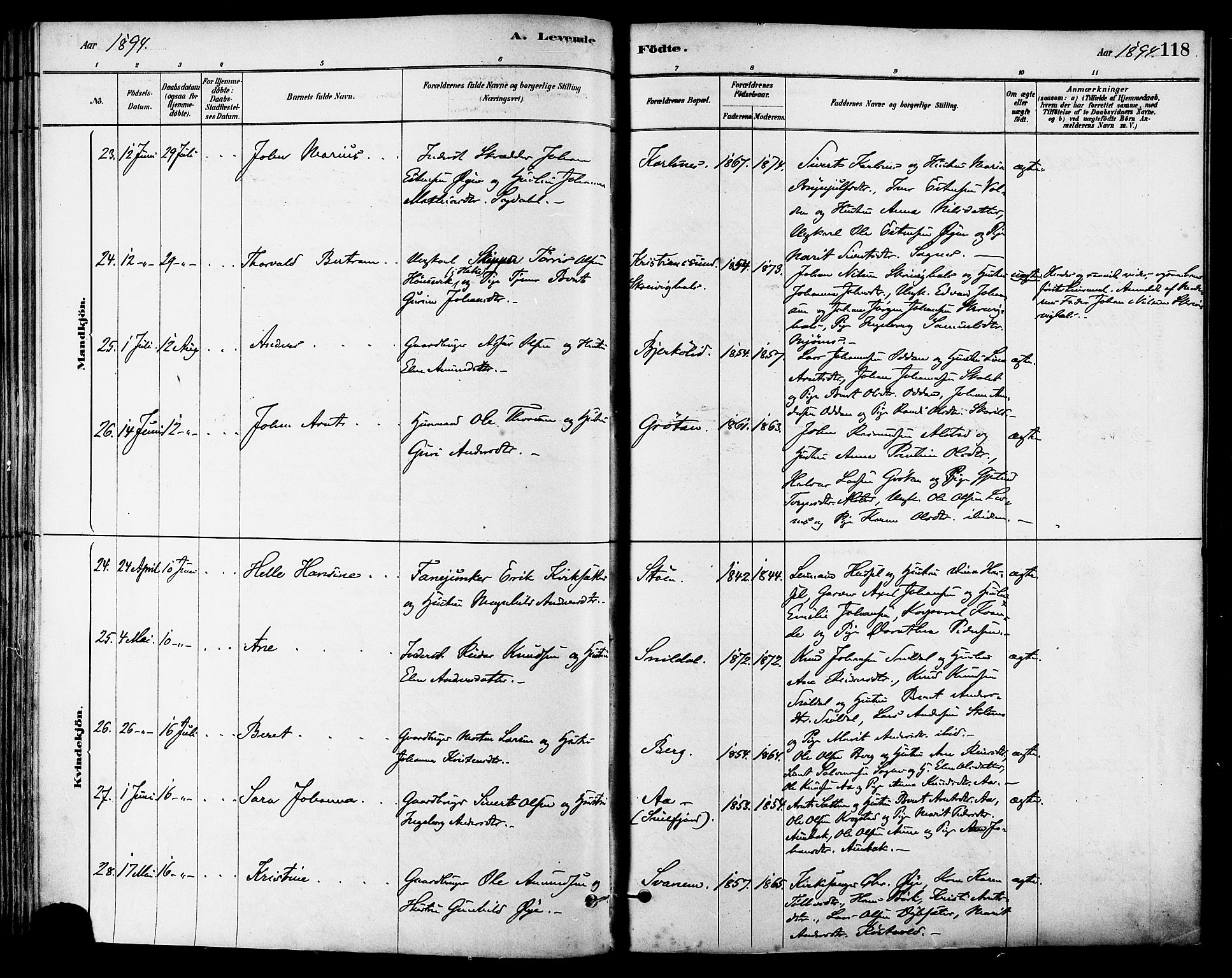 Ministerialprotokoller, klokkerbøker og fødselsregistre - Sør-Trøndelag, AV/SAT-A-1456/630/L0496: Ministerialbok nr. 630A09, 1879-1895, s. 118