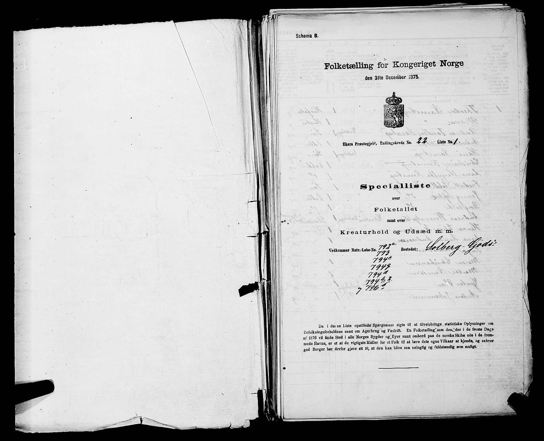 SAKO, Folketelling 1875 for 0624P Eiker prestegjeld, 1875, s. 3960