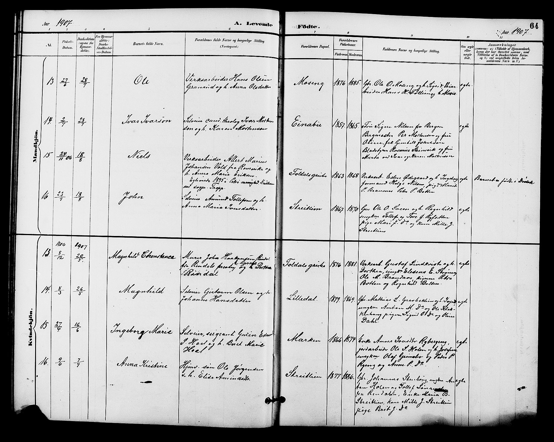 Alvdal prestekontor, AV/SAH-PREST-060/H/Ha/Hab/L0004: Klokkerbok nr. 4, 1894-1910, s. 64