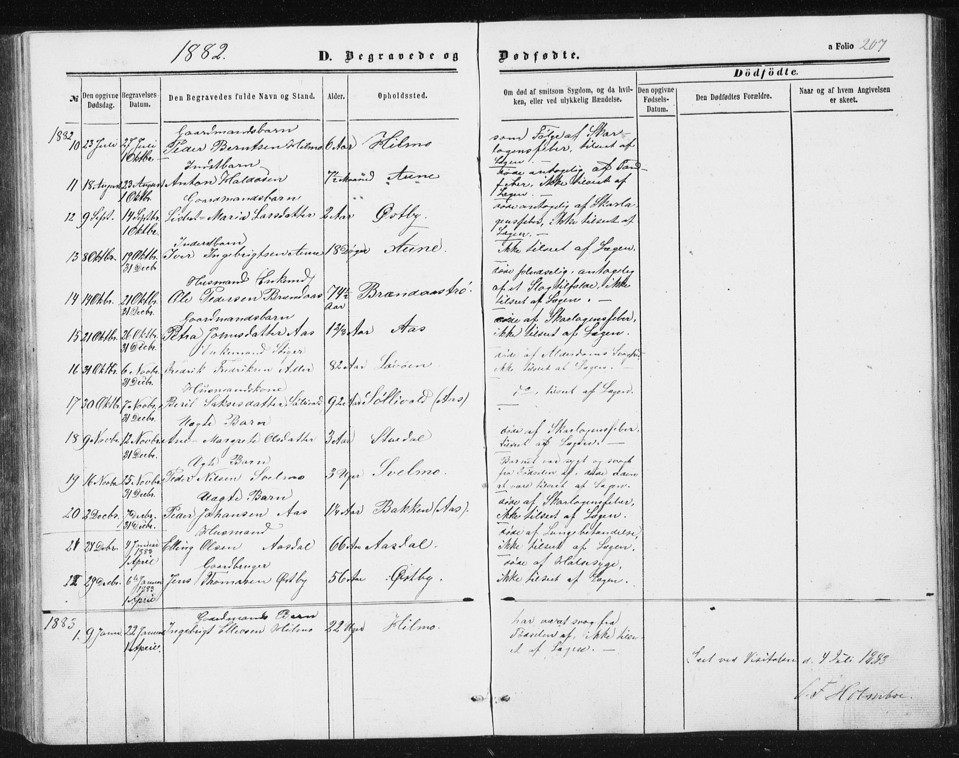Ministerialprotokoller, klokkerbøker og fødselsregistre - Sør-Trøndelag, AV/SAT-A-1456/698/L1166: Klokkerbok nr. 698C03, 1861-1887, s. 207