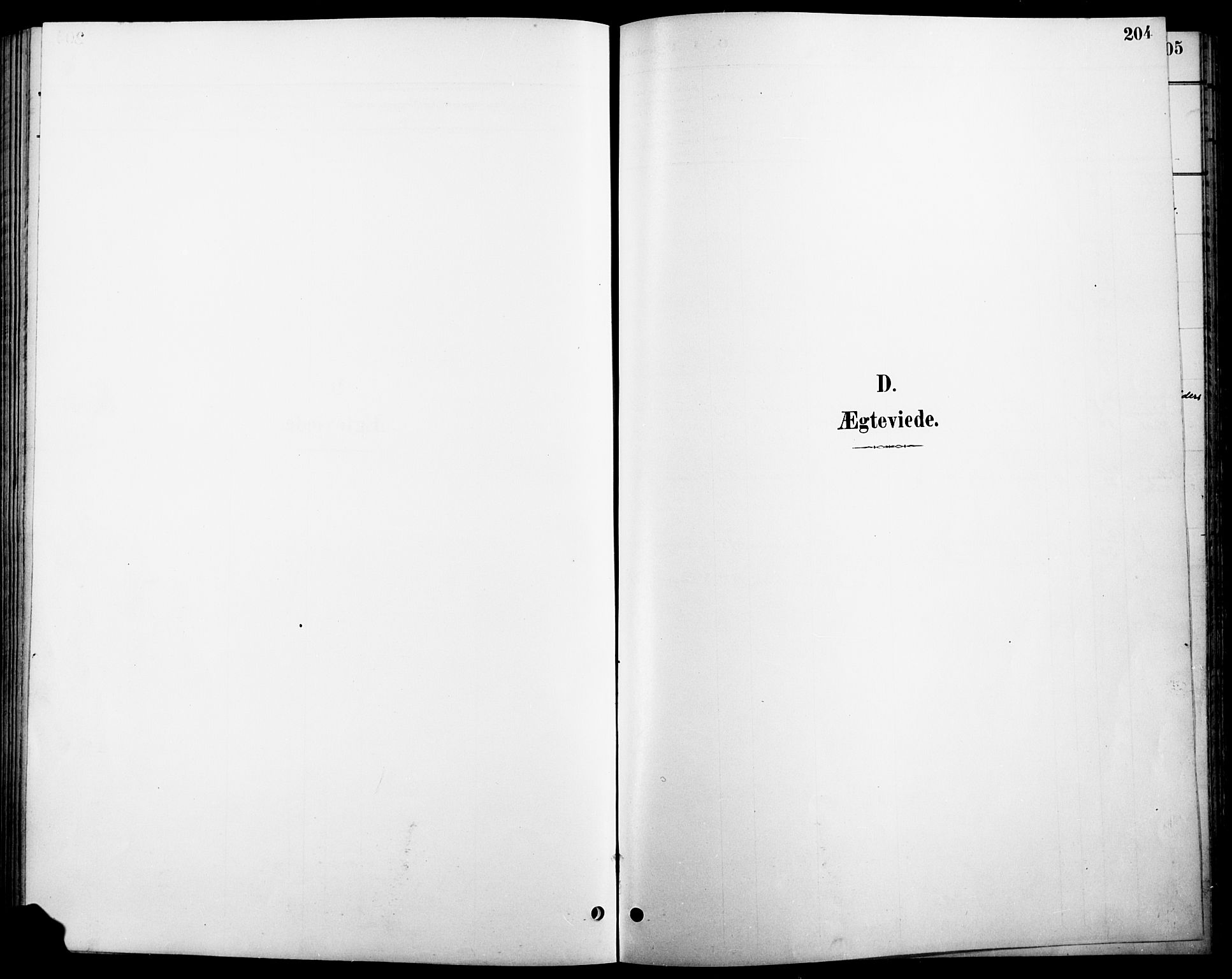 Stange prestekontor, SAH/PREST-002/L/L0011: Klokkerbok nr. 11, 1895-1917, s. 204
