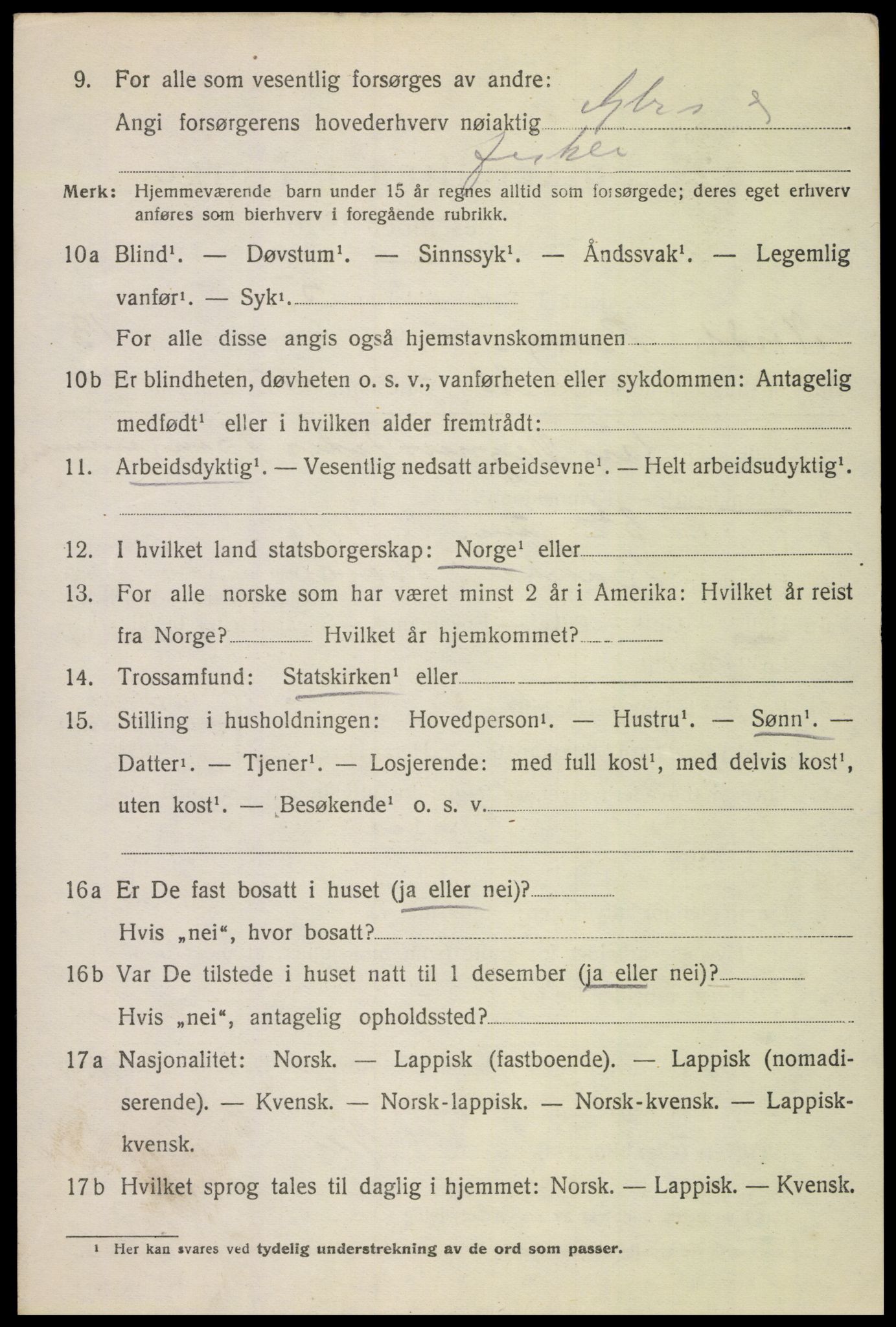 SAT, Folketelling 1920 for 1862 Borge herred, 1920, s. 10602