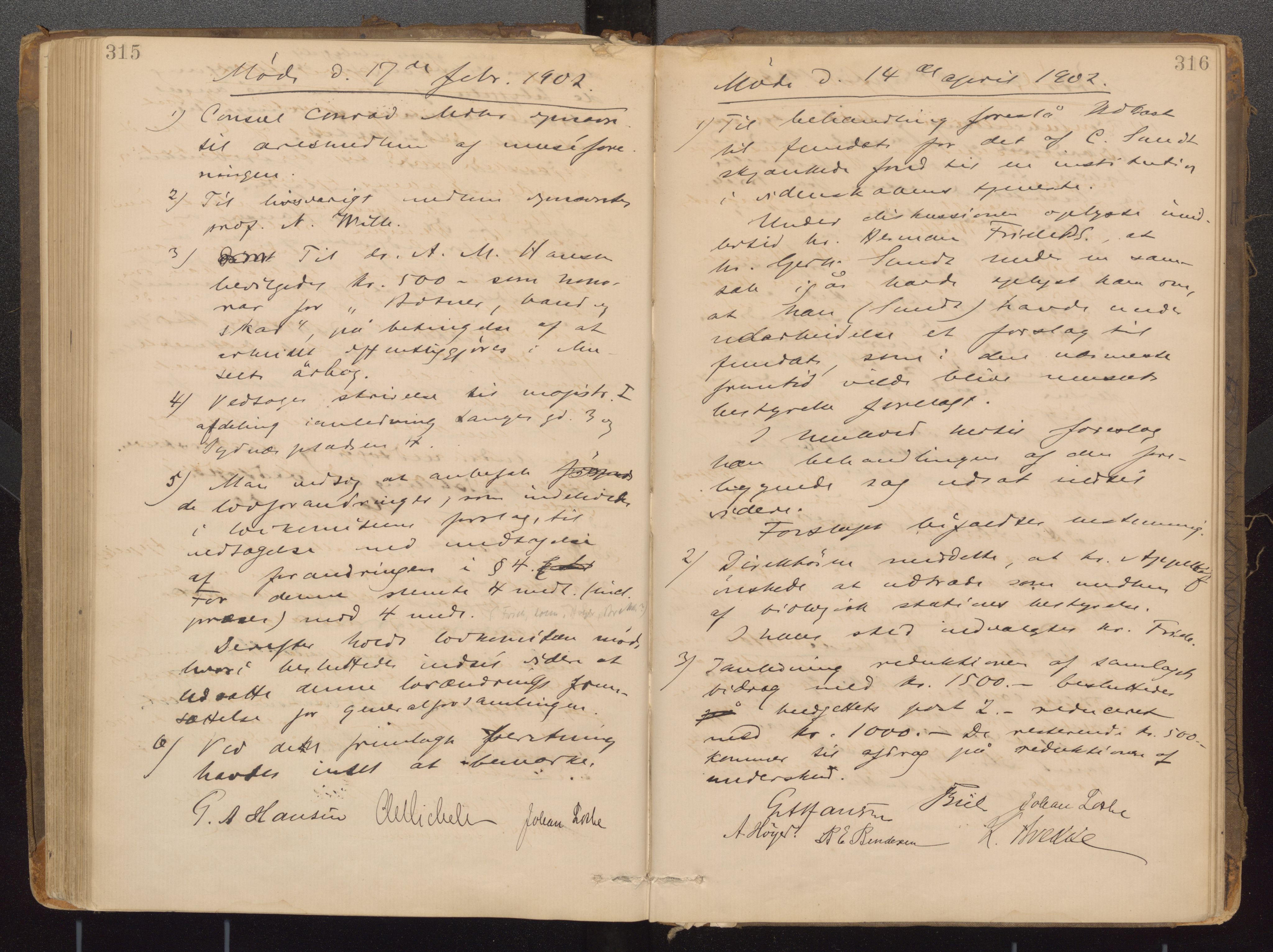 Bergens Museum, UMB/A007/A/Aa/L0007: Forhandlingsprotokoll , 1872-1906, s. 315,316