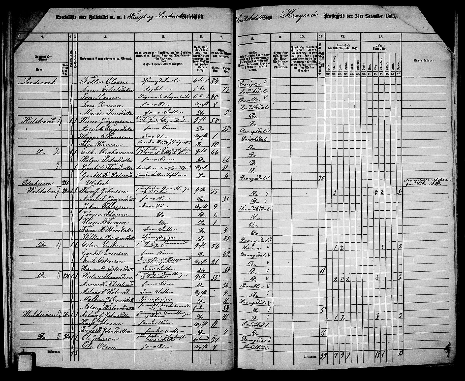 RA, Folketelling 1865 for 0816L Kragerø prestegjeld, Sannidal sokn og Skåtøy sokn, 1865, s. 21