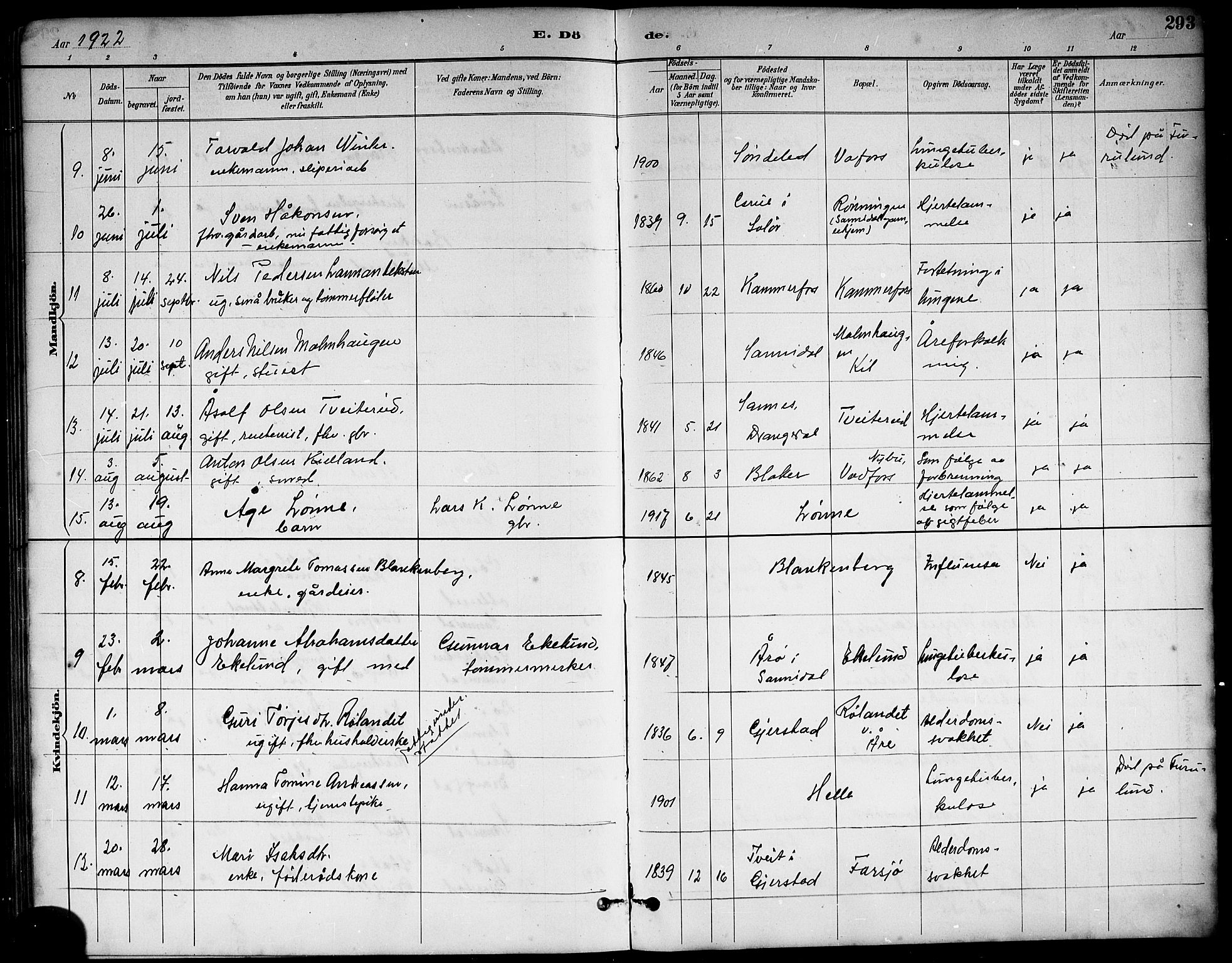 Sannidal kirkebøker, AV/SAKO-A-296/G/Ga/L0003: Klokkerbok nr. 3, 1887-1922, s. 293