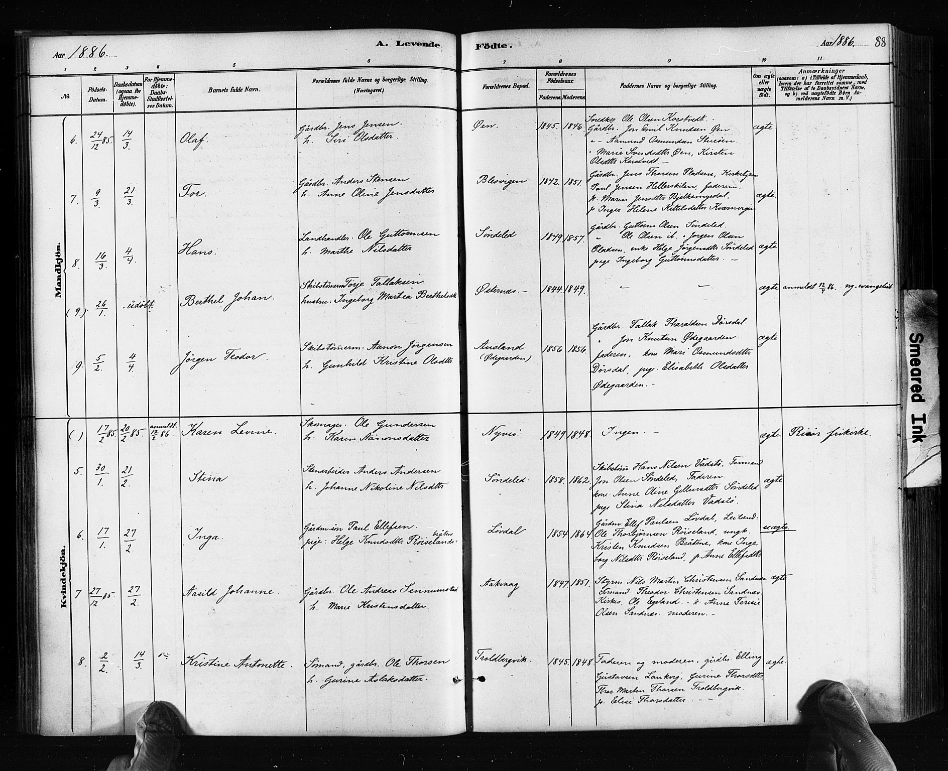 Søndeled sokneprestkontor, AV/SAK-1111-0038/F/Fa/L0004: Ministerialbok nr. A 4, 1880-1889, s. 88