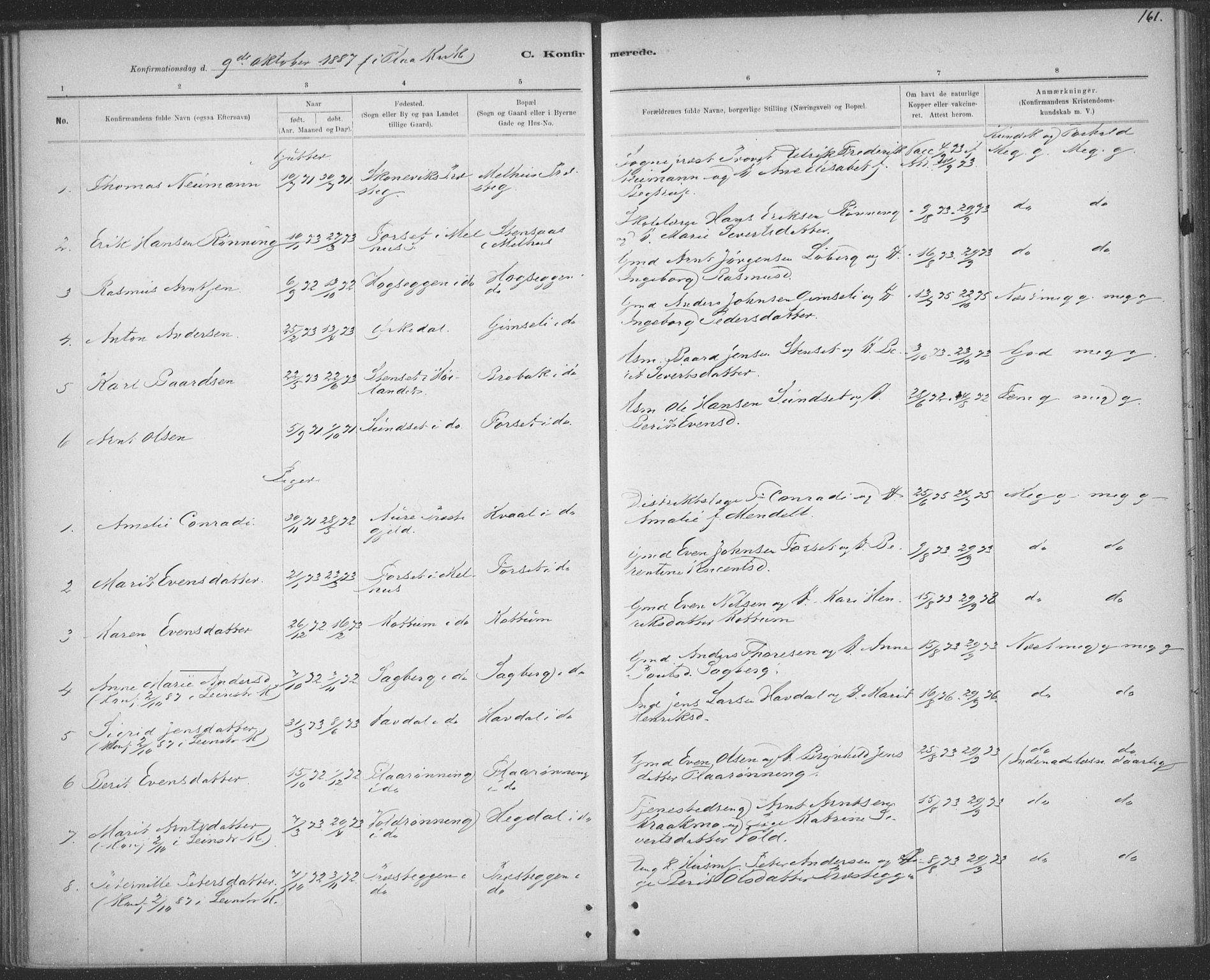 Ministerialprotokoller, klokkerbøker og fødselsregistre - Sør-Trøndelag, AV/SAT-A-1456/691/L1085: Ministerialbok nr. 691A17, 1887-1908, s. 161