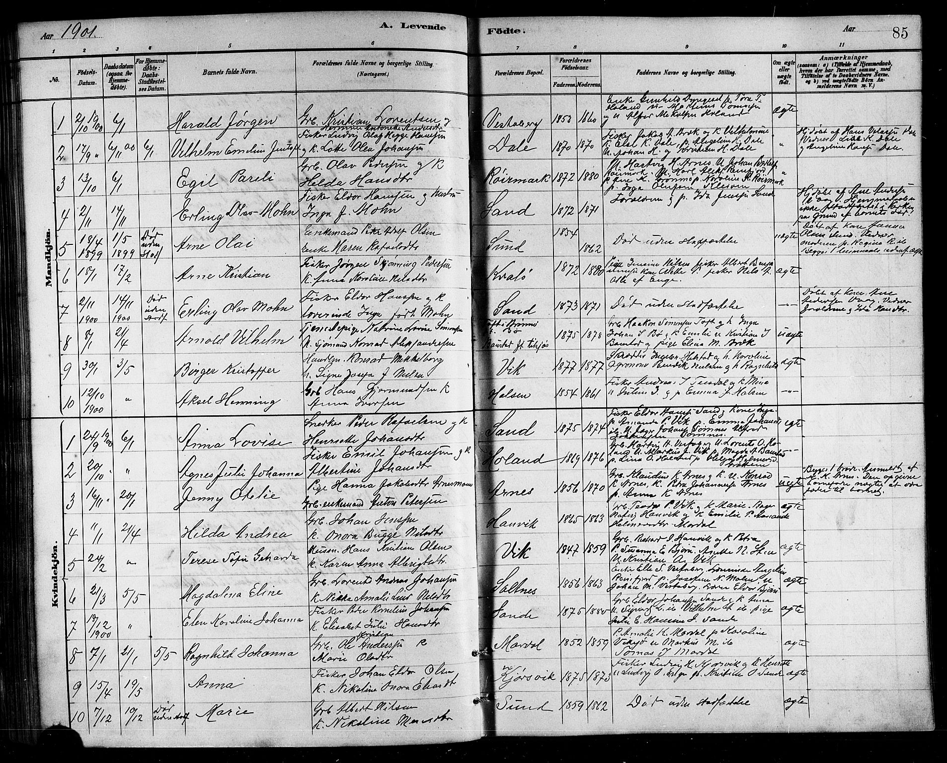 Ministerialprotokoller, klokkerbøker og fødselsregistre - Nordland, AV/SAT-A-1459/812/L0188: Klokkerbok nr. 812C06, 1884-1912, s. 85