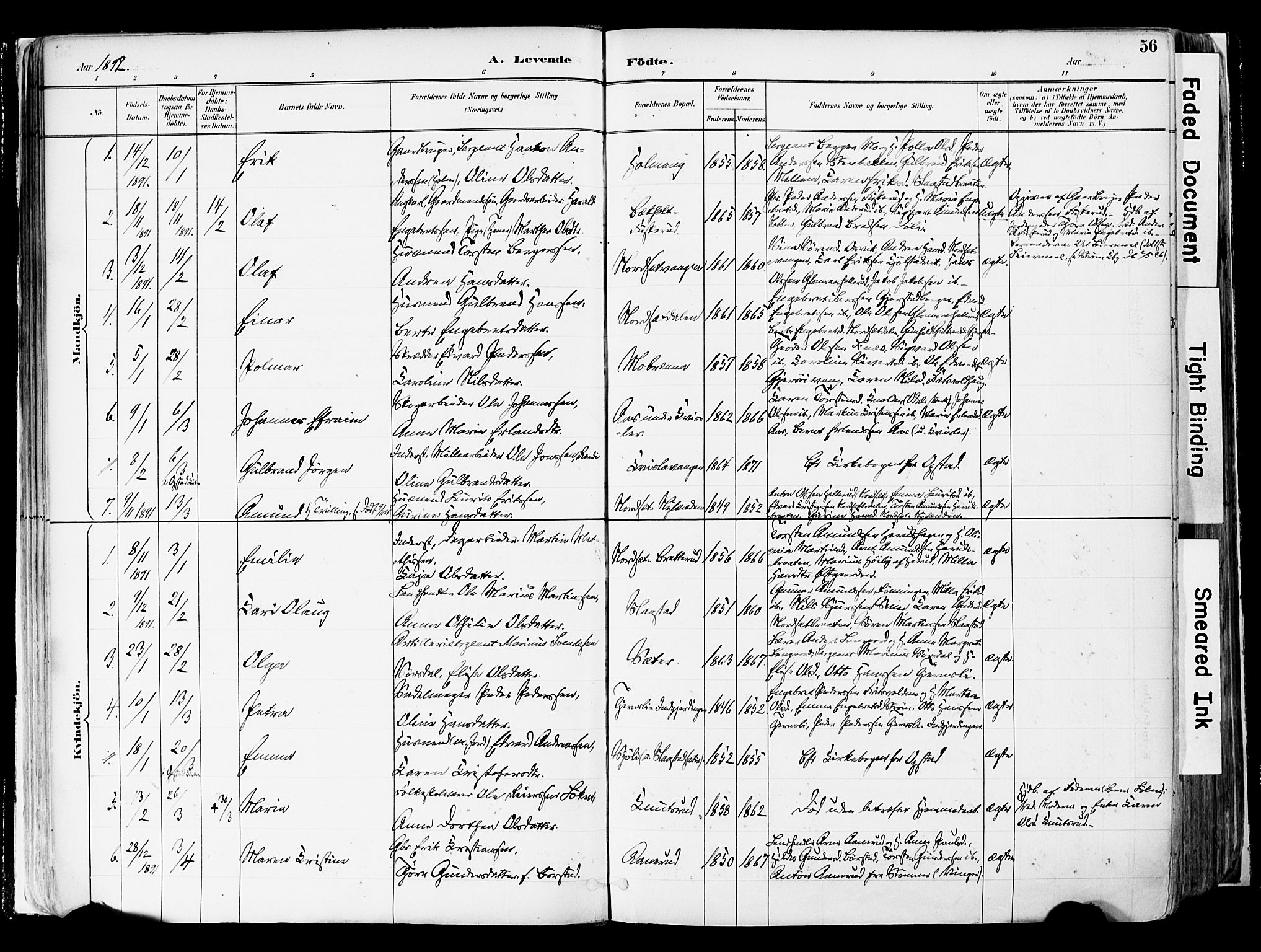 Sør-Odal prestekontor, AV/SAH-PREST-030/H/Ha/Haa/L0006: Ministerialbok nr. 6, 1886-1931, s. 56