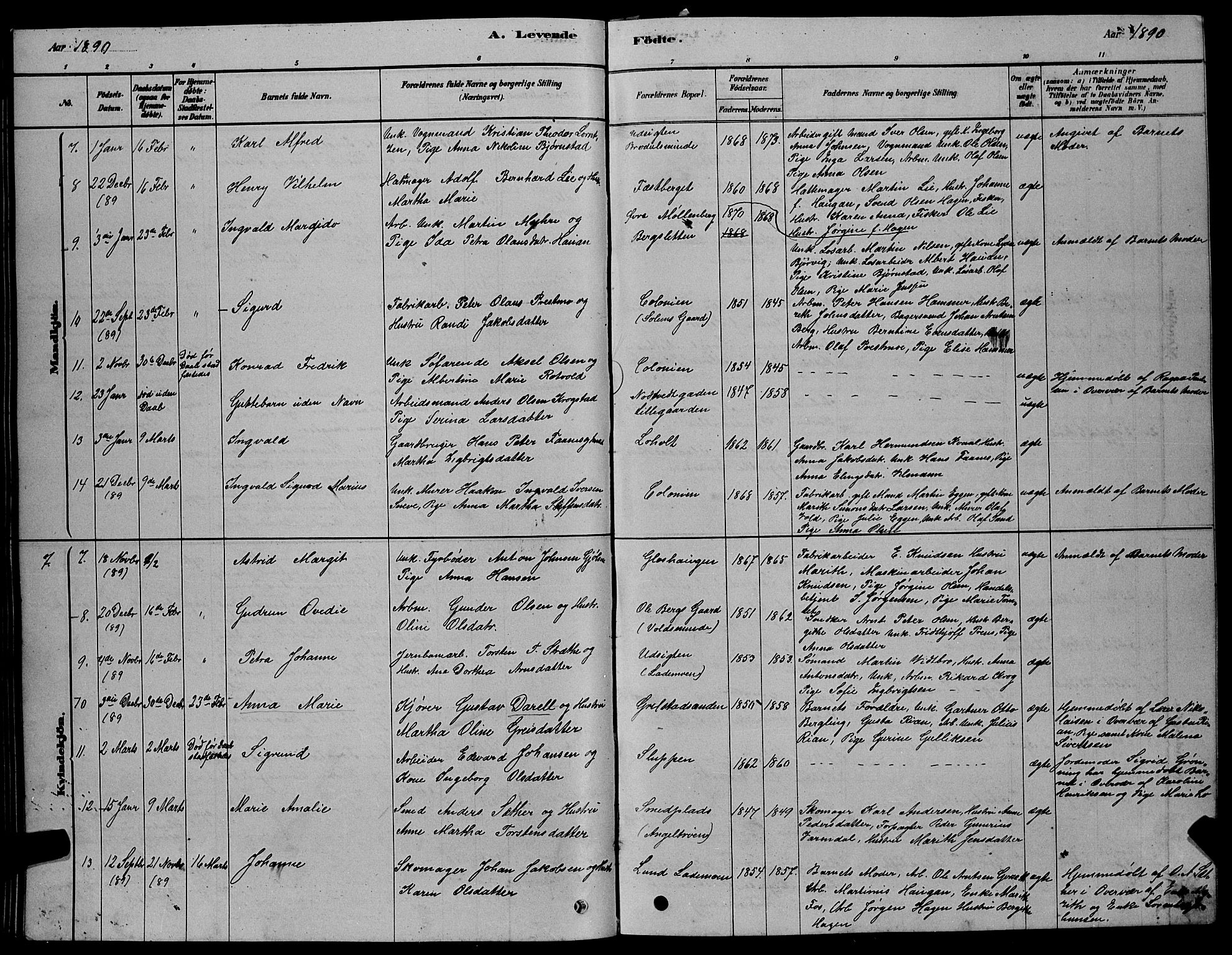 Ministerialprotokoller, klokkerbøker og fødselsregistre - Sør-Trøndelag, AV/SAT-A-1456/606/L0312: Klokkerbok nr. 606C08, 1878-1894