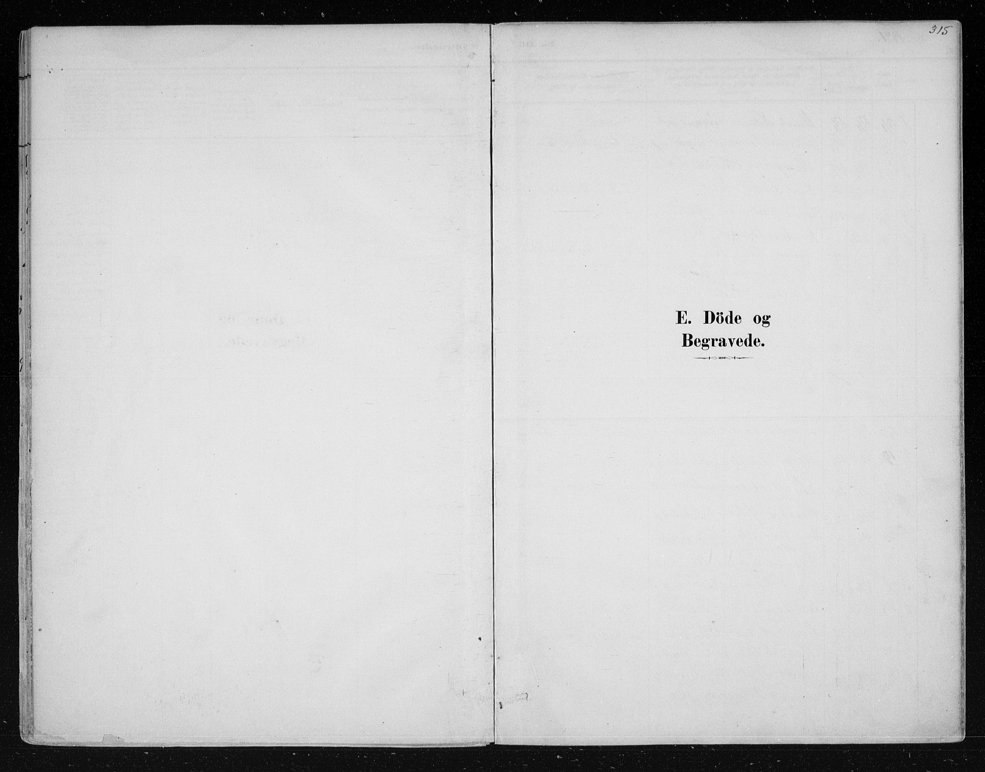 Nes kirkebøker, SAKO/A-236/F/Fa/L0011: Ministerialbok nr. 11, 1881-1912, s. 315