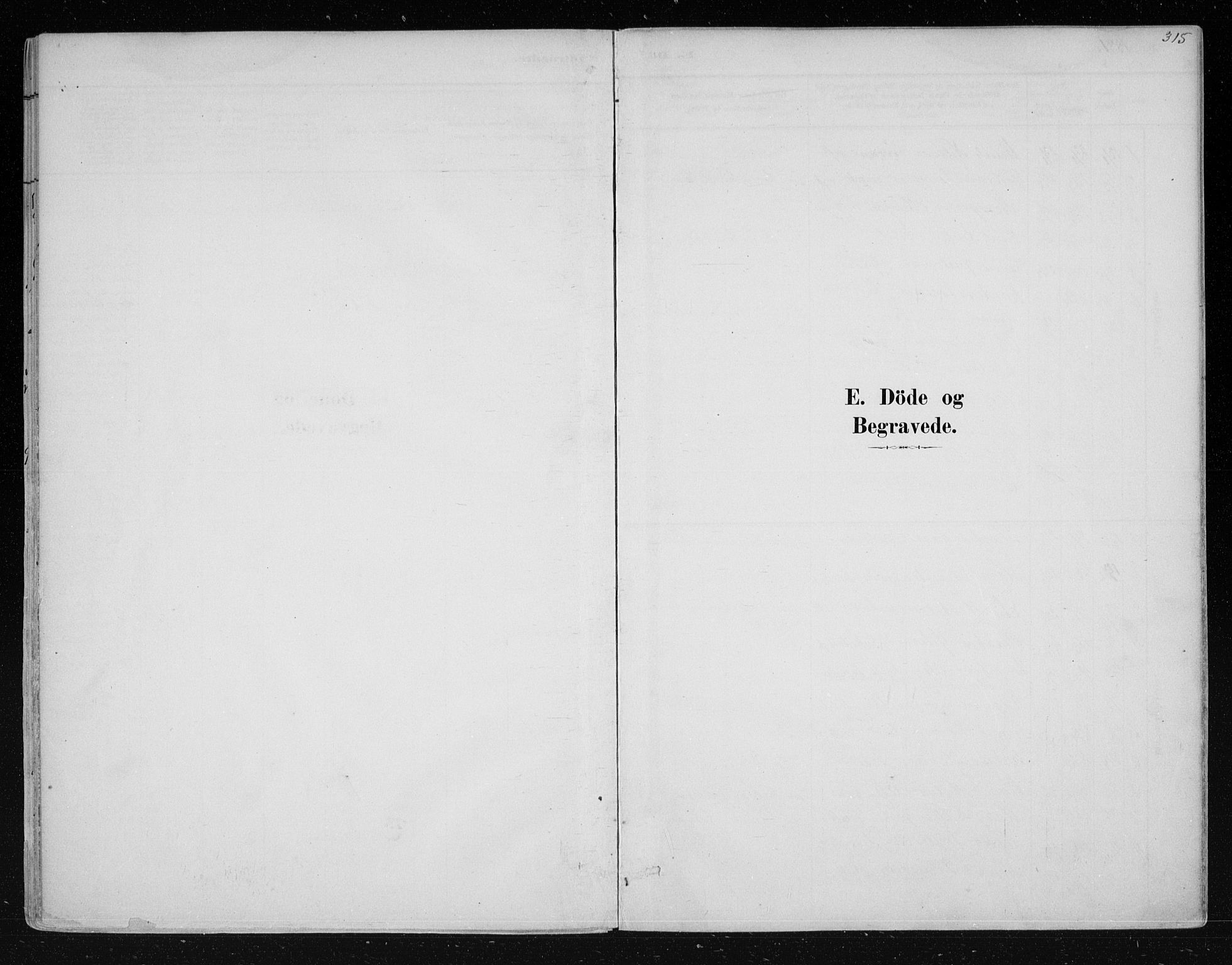 Nes kirkebøker, AV/SAKO-A-236/F/Fa/L0011: Ministerialbok nr. 11, 1881-1912, s. 315
