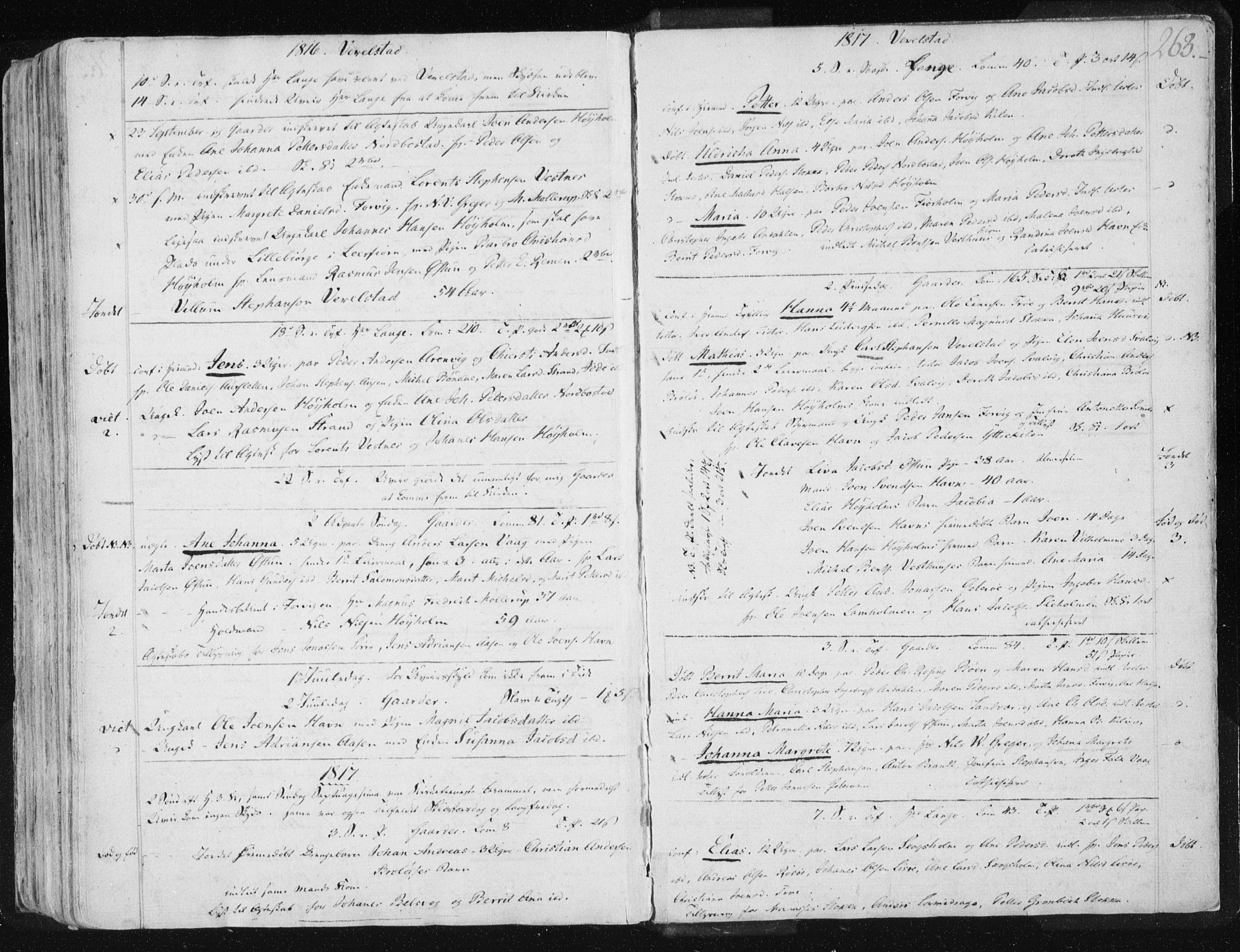 Ministerialprotokoller, klokkerbøker og fødselsregistre - Nordland, AV/SAT-A-1459/830/L0444: Ministerialbok nr. 830A08, 1801-1819, s. 263