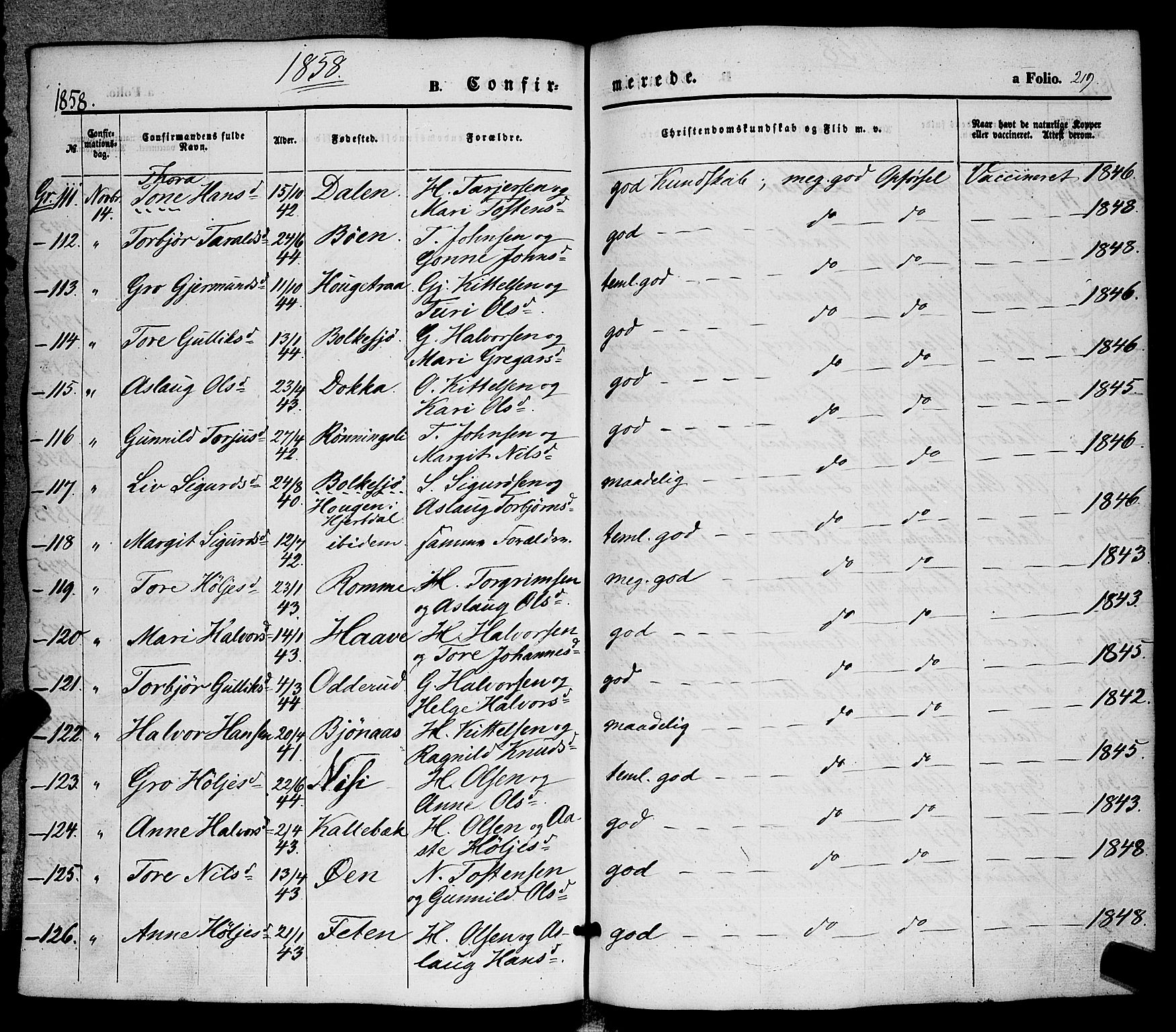Hjartdal kirkebøker, SAKO/A-270/F/Fa/L0008: Ministerialbok nr. I 8, 1844-1859, s. 219