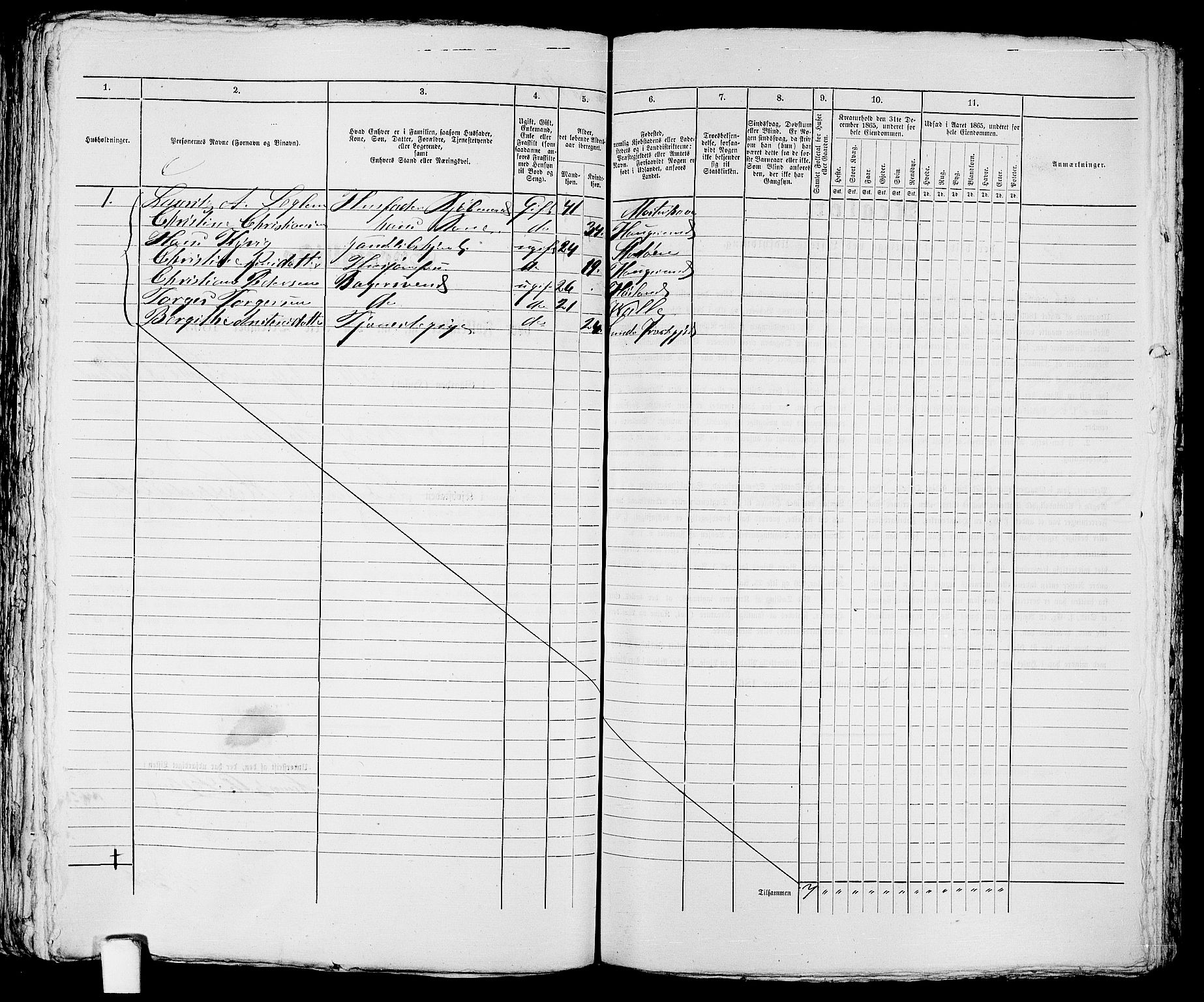 RA, Folketelling 1865 for 1106B Torvastad prestegjeld, Haugesund ladested, 1865, s. 411