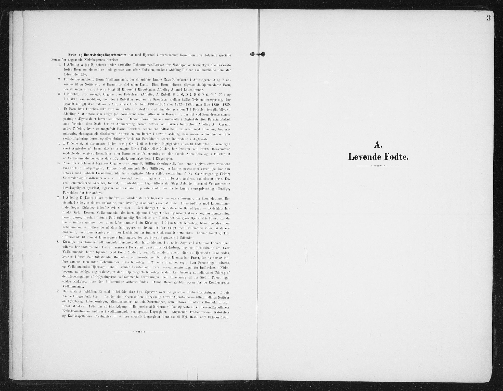 Ministerialprotokoller, klokkerbøker og fødselsregistre - Nordland, AV/SAT-A-1459/892/L1321: Ministerialbok nr. 892A02, 1902-1918, s. 3