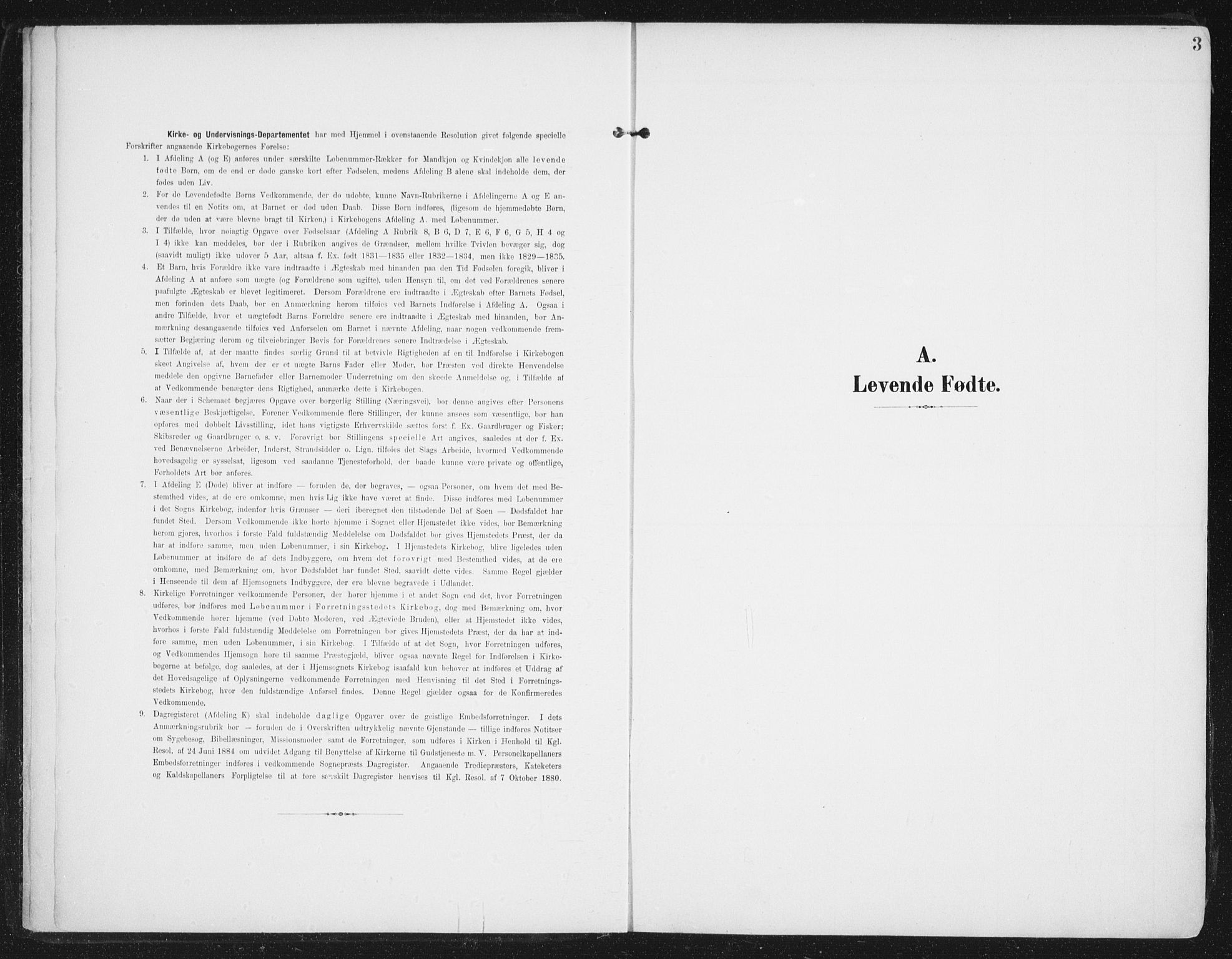 Ministerialprotokoller, klokkerbøker og fødselsregistre - Nordland, SAT/A-1459/892/L1321: Ministerialbok nr. 892A02, 1902-1918, s. 3