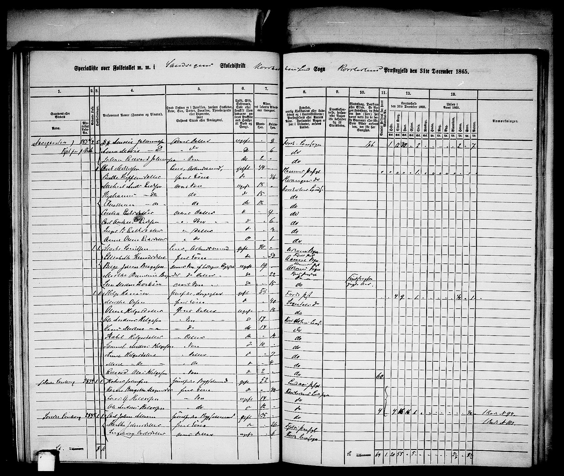 RA, Folketelling 1865 for 1281L Bergen Landdistrikt, Domkirkens landsokn og Korskirkens landsokn, 1865, s. 319