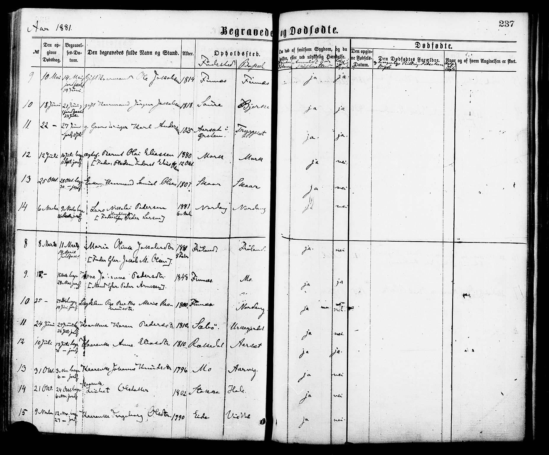 Ministerialprotokoller, klokkerbøker og fødselsregistre - Møre og Romsdal, AV/SAT-A-1454/515/L0210: Ministerialbok nr. 515A06, 1868-1885, s. 237