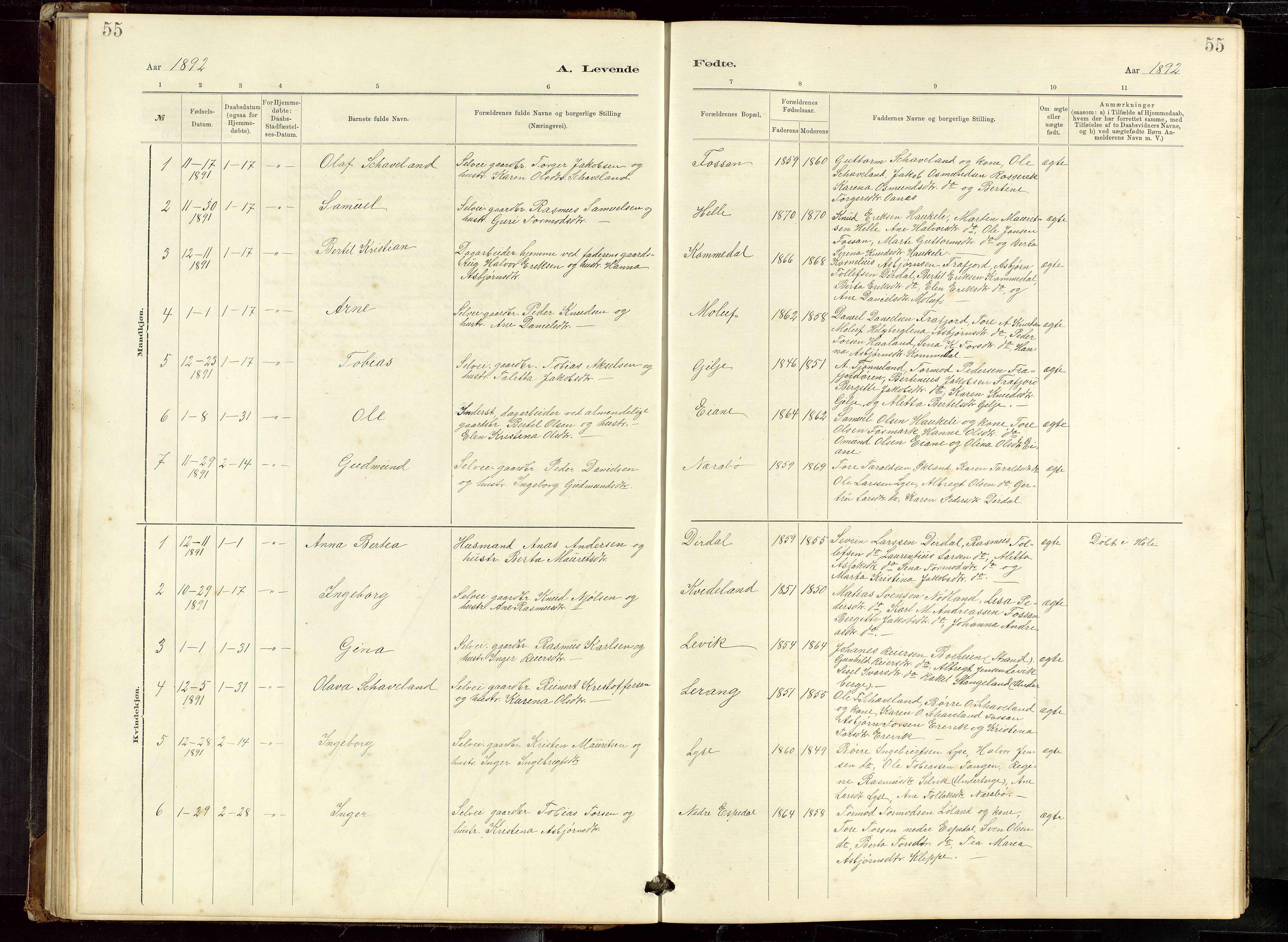 Høgsfjord sokneprestkontor, AV/SAST-A-101624/H/Ha/Hab/L0009: Klokkerbok nr. B 9, 1883-1920, s. 55