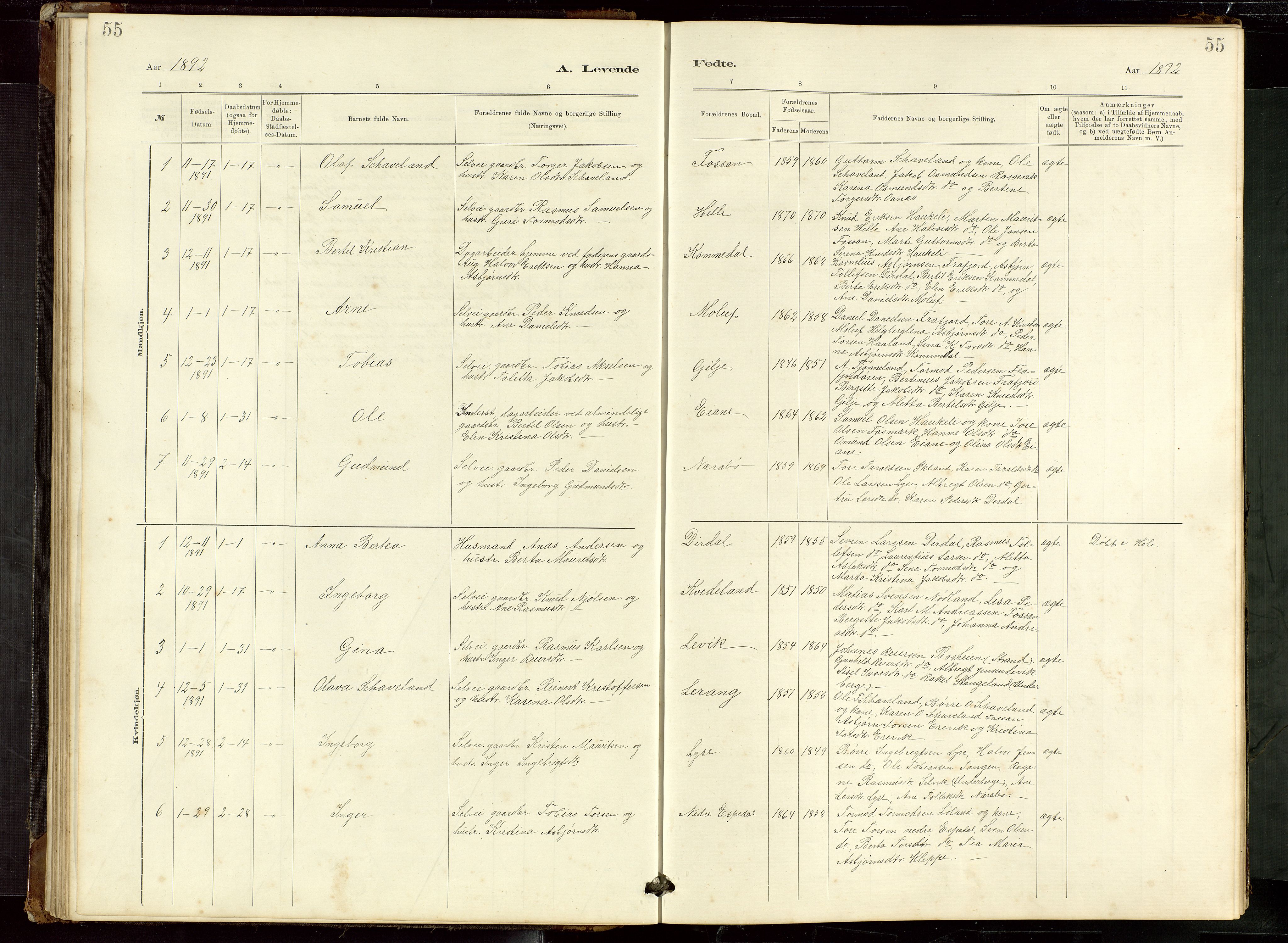 Høgsfjord sokneprestkontor, SAST/A-101624/H/Ha/Hab/L0009: Klokkerbok nr. B 9, 1883-1920, s. 55