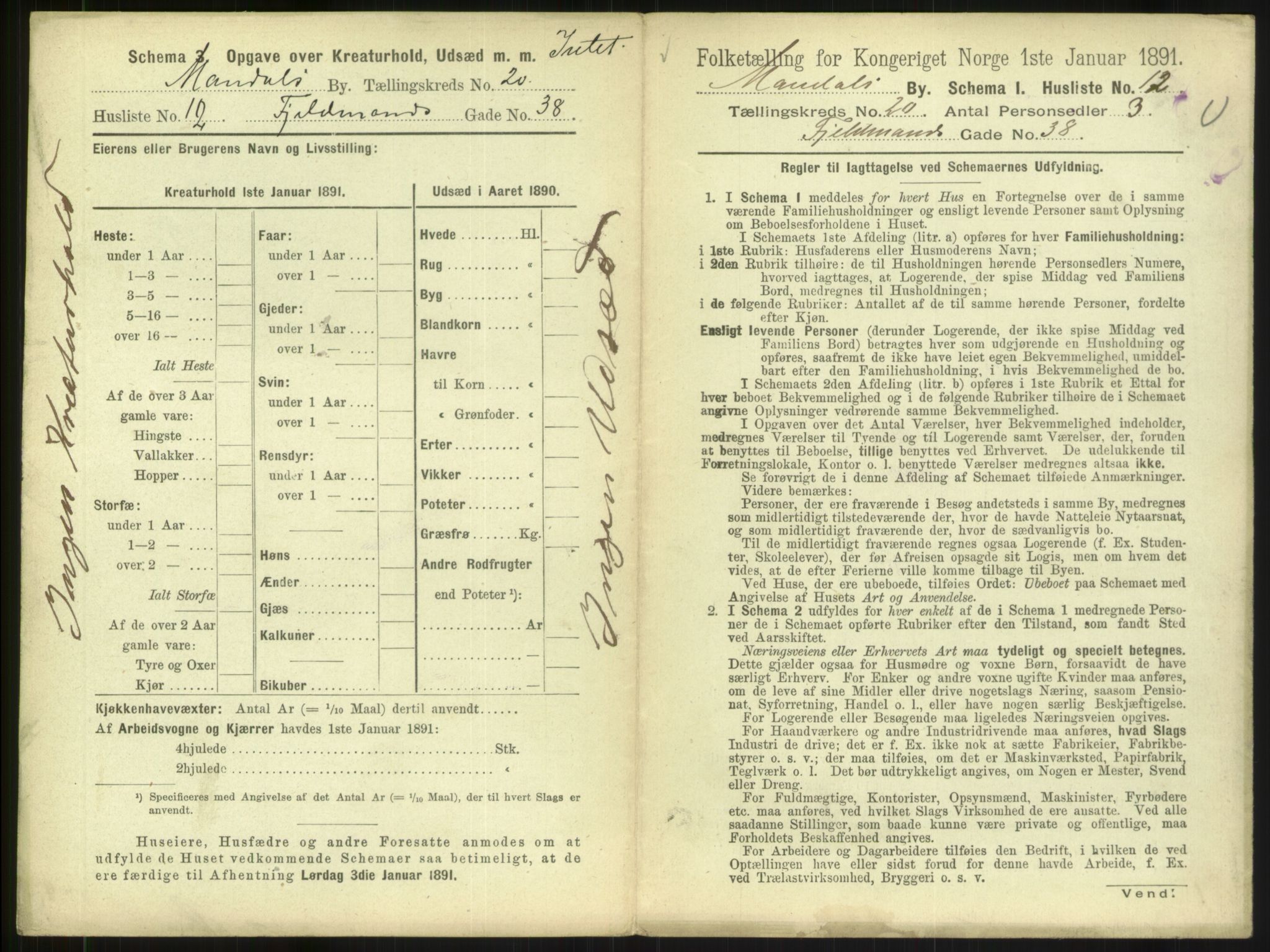 RA, Folketelling 1891 for 1002 Mandal ladested, 1891, s. 919