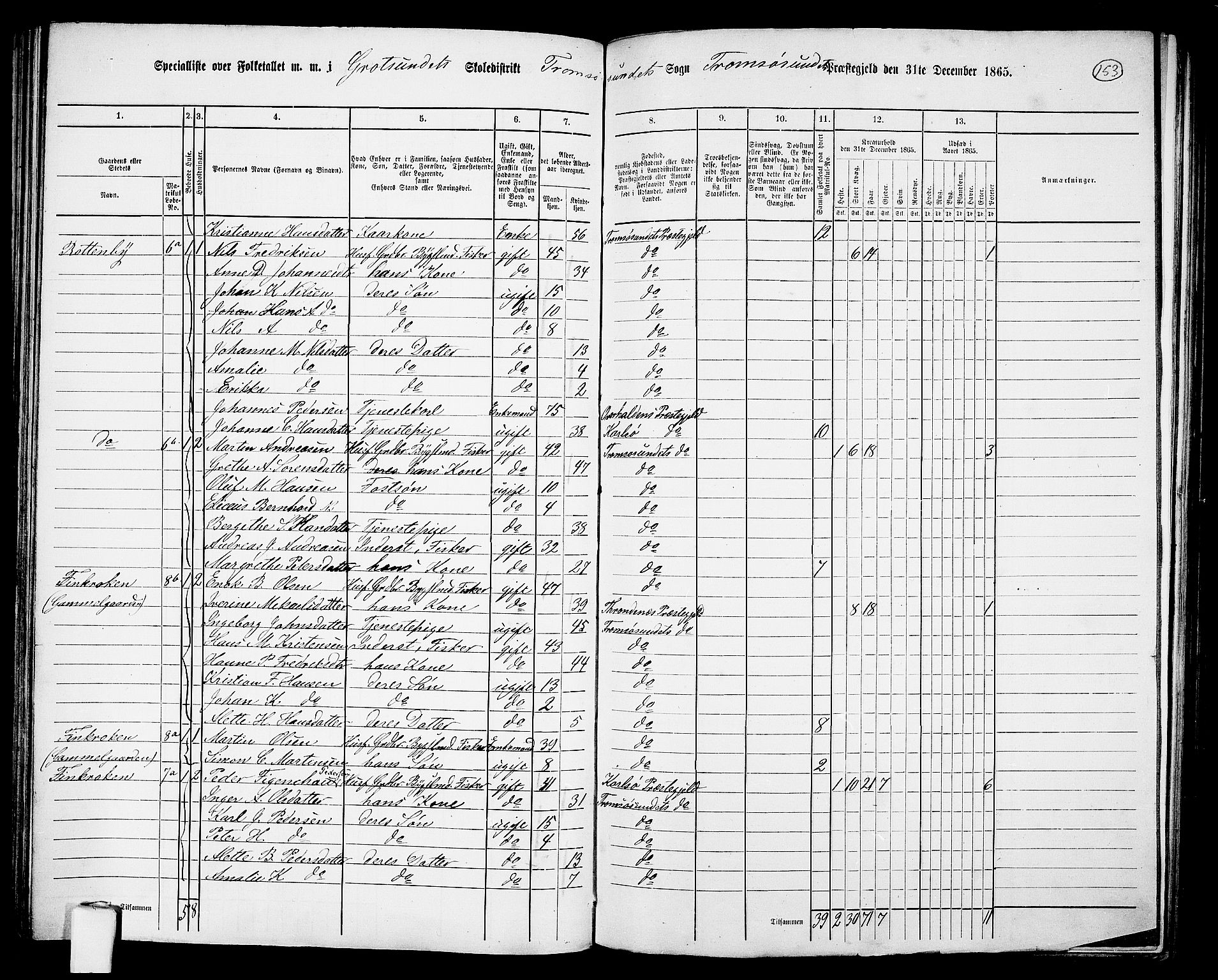 RA, Folketelling 1865 for 1934P Tromsøysund prestegjeld, 1865, s. 128