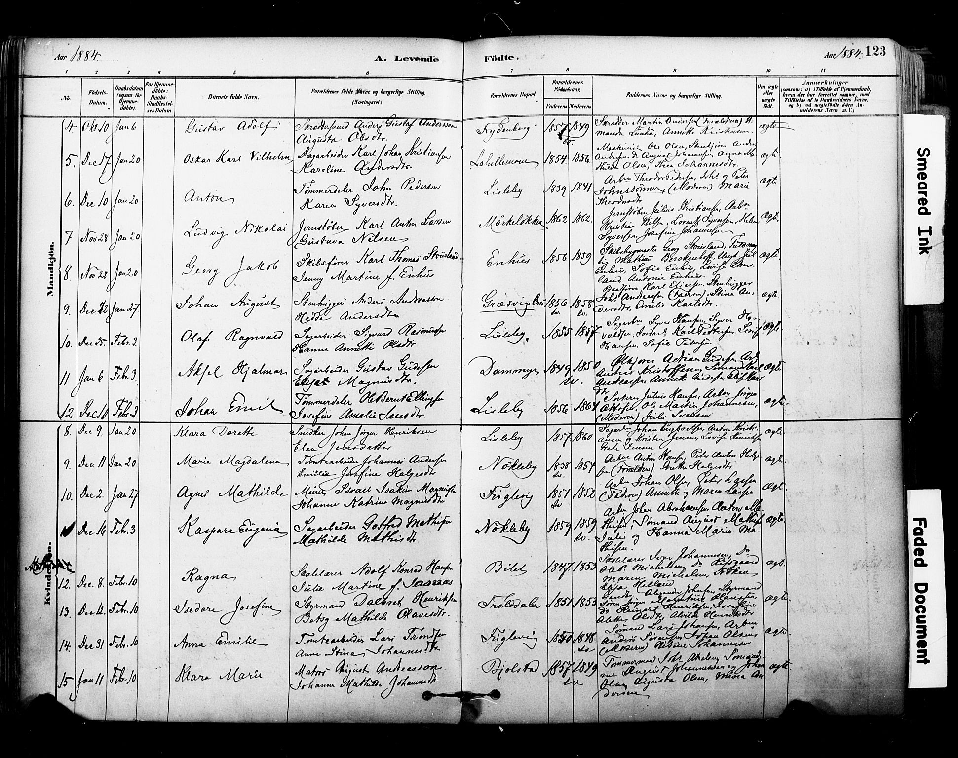 Glemmen prestekontor Kirkebøker, AV/SAO-A-10908/F/Fa/L0011: Ministerialbok nr. 11, 1878-1917, s. 123