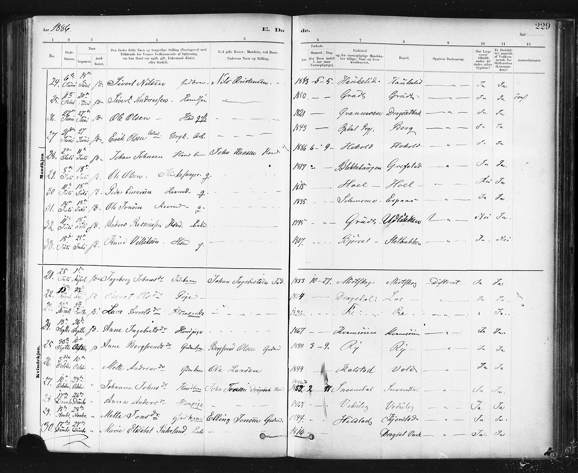 Ministerialprotokoller, klokkerbøker og fødselsregistre - Sør-Trøndelag, SAT/A-1456/672/L0857: Ministerialbok nr. 672A09, 1882-1893, s. 229