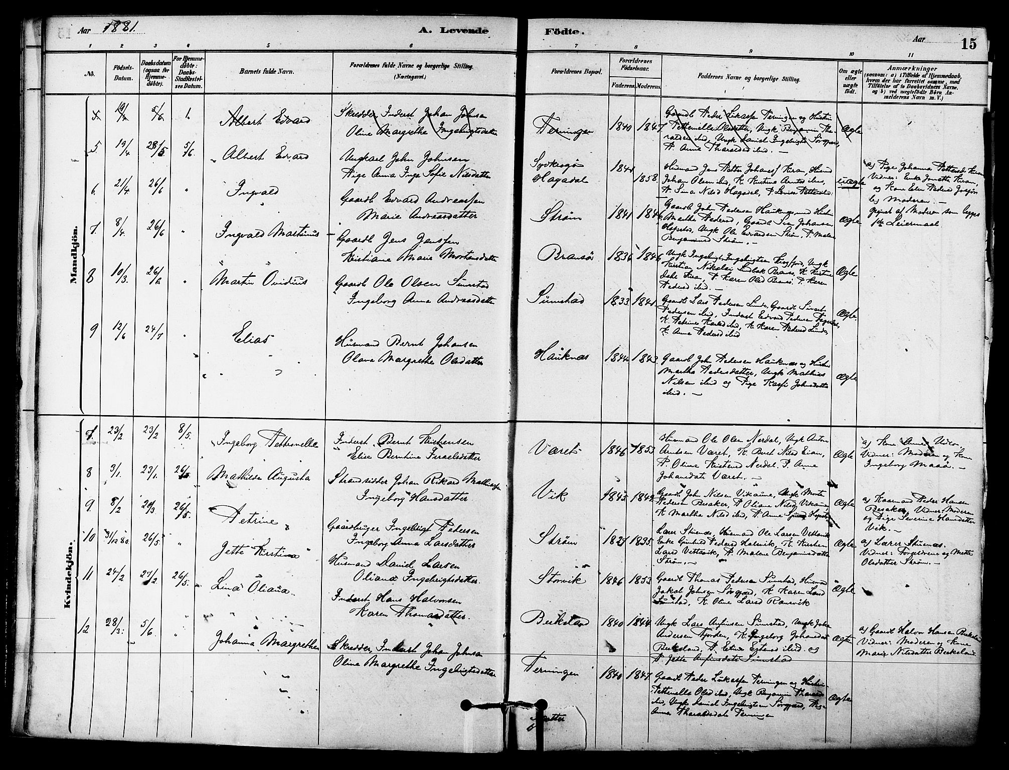 Ministerialprotokoller, klokkerbøker og fødselsregistre - Sør-Trøndelag, AV/SAT-A-1456/657/L0707: Ministerialbok nr. 657A08, 1879-1893, s. 15