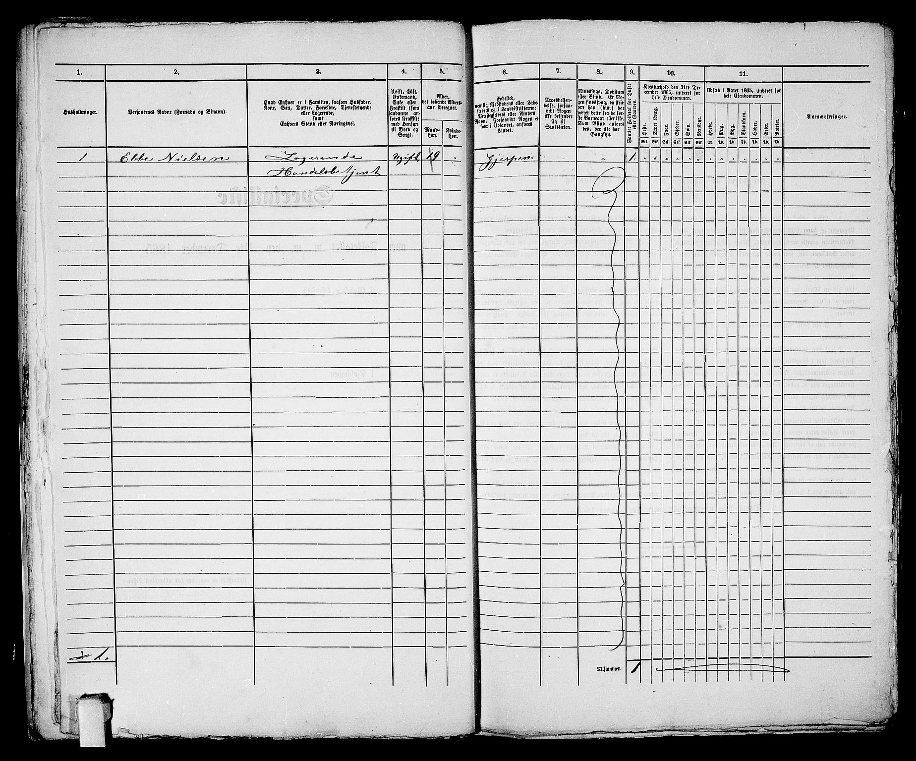 RA, Folketelling 1865 for 0805P Porsgrunn prestegjeld, 1865, s. 19