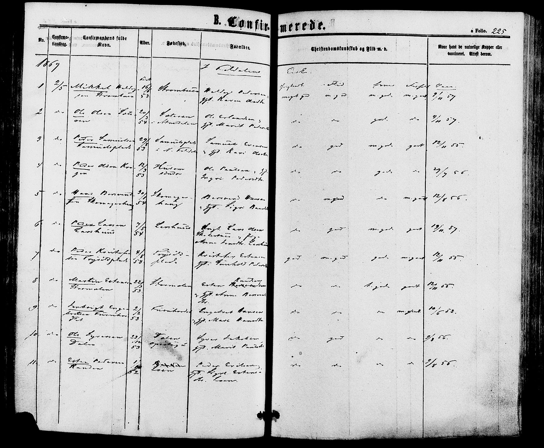 Alvdal prestekontor, SAH/PREST-060/H/Ha/Haa/L0001: Ministerialbok nr. 1, 1863-1882, s. 225