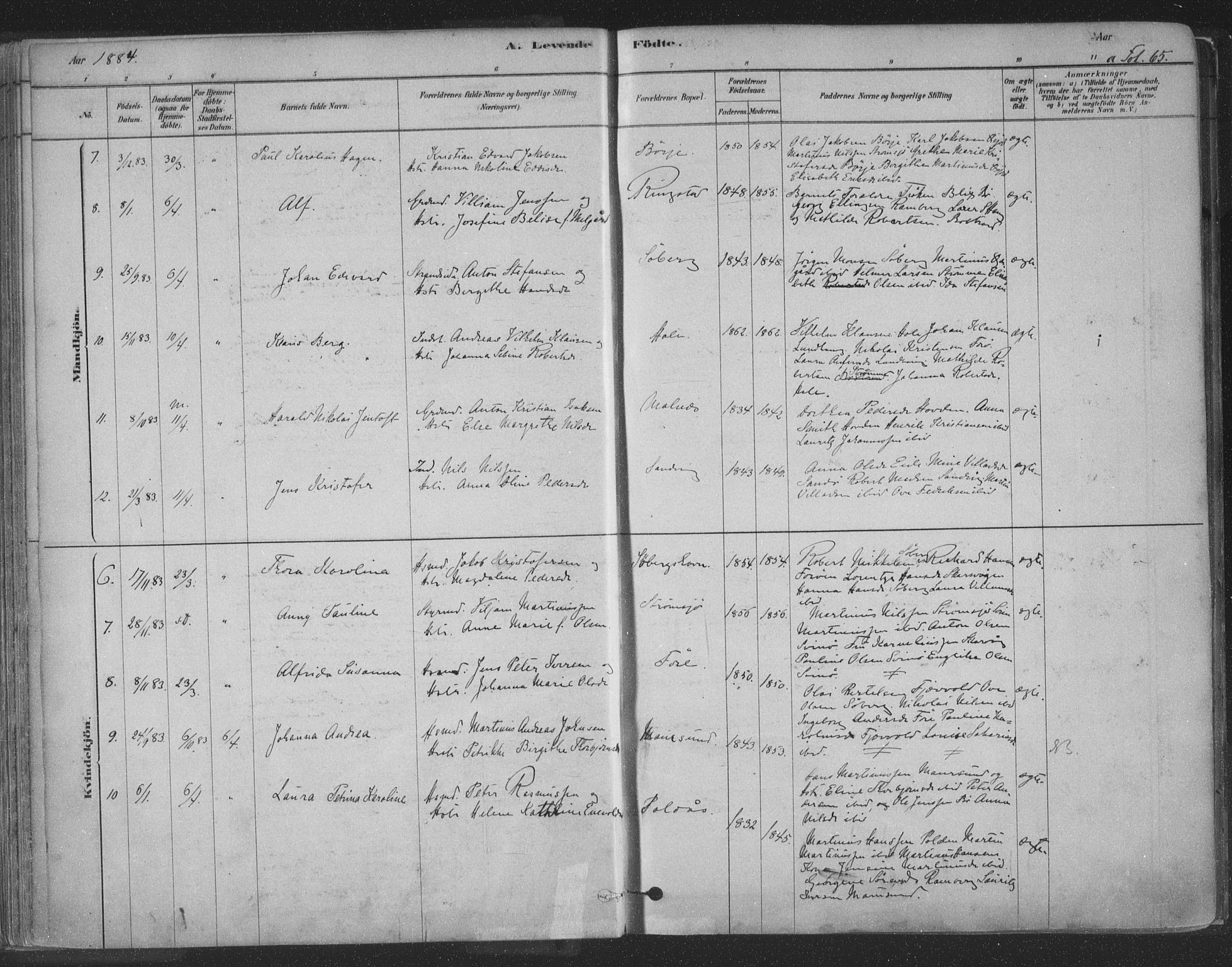 Ministerialprotokoller, klokkerbøker og fødselsregistre - Nordland, AV/SAT-A-1459/891/L1302: Ministerialbok nr. 891A07, 1878-1895, s. 65