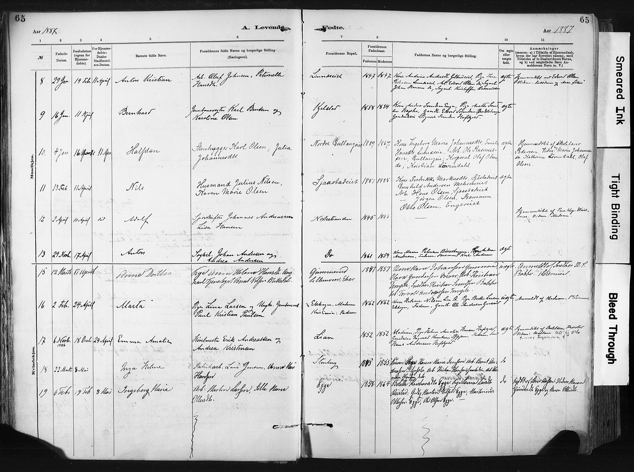 Lier kirkebøker, AV/SAKO-A-230/F/Fa/L0015: Ministerialbok nr. I 15, 1883-1894, s. 65
