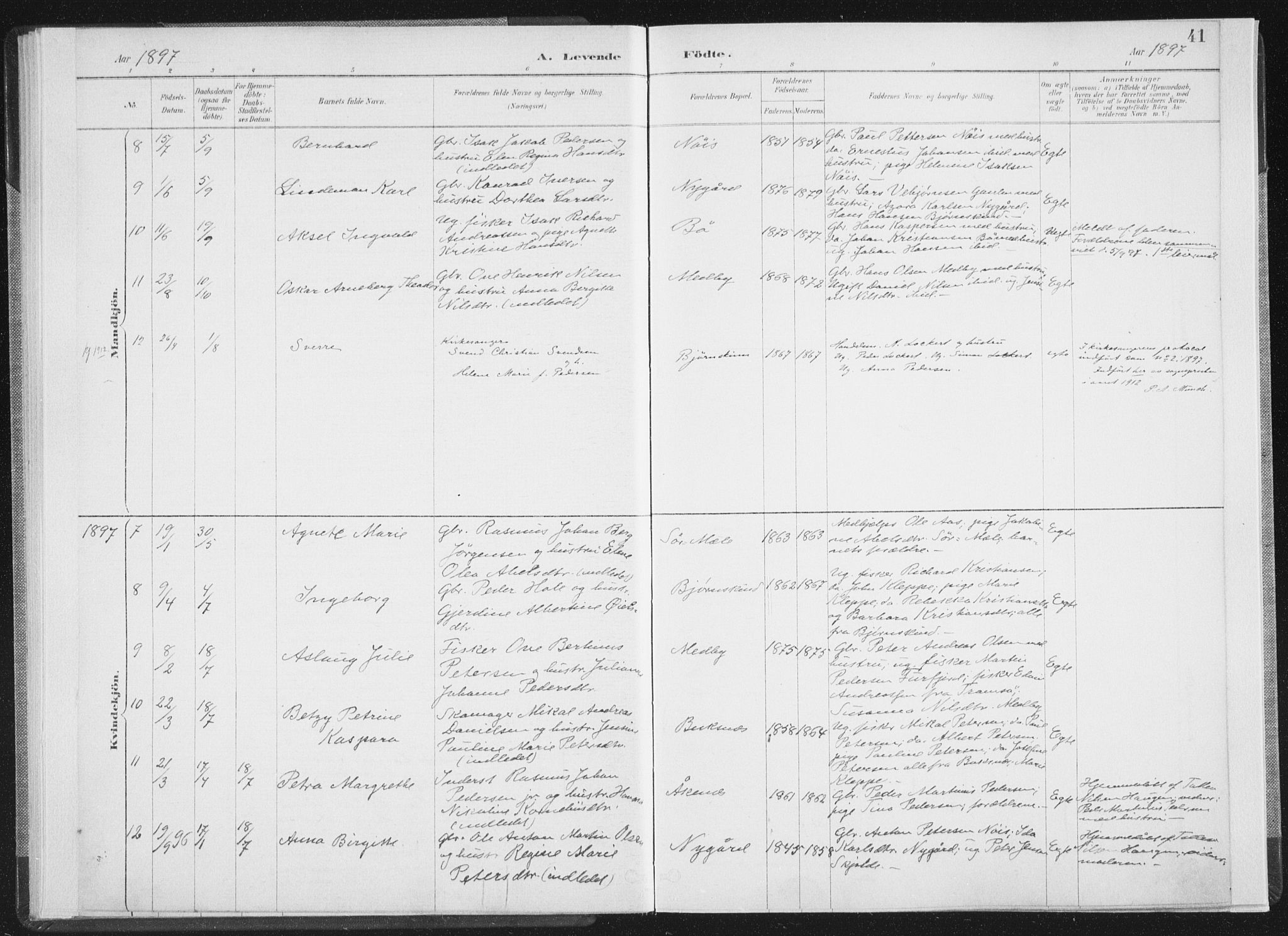 Ministerialprotokoller, klokkerbøker og fødselsregistre - Nordland, SAT/A-1459/898/L1422: Ministerialbok nr. 898A02, 1887-1908, s. 41