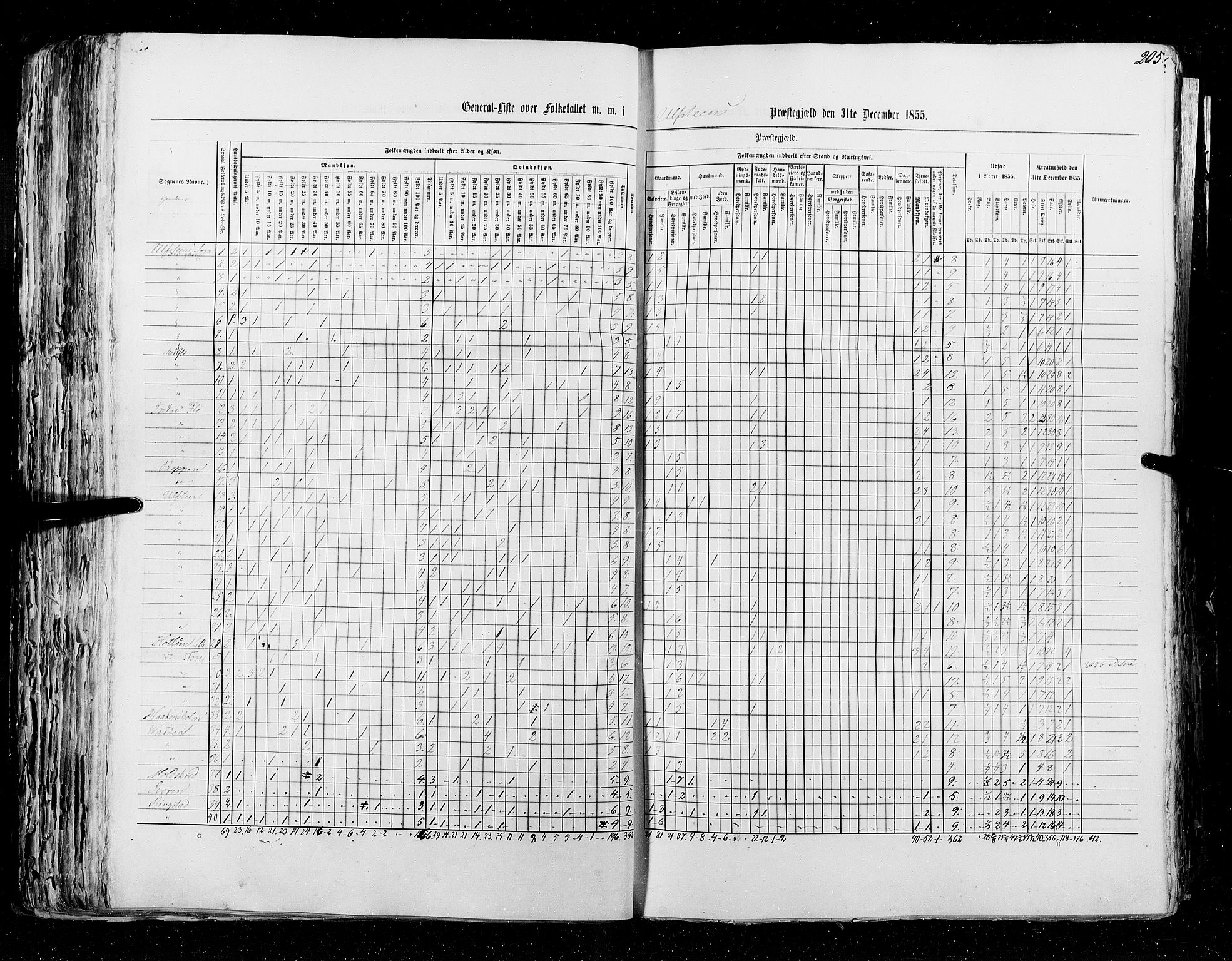 RA, Folketellingen 1855, bind 5: Nordre Bergenhus amt, Romsdal amt og Søndre Trondhjem amt, 1855, s. 205