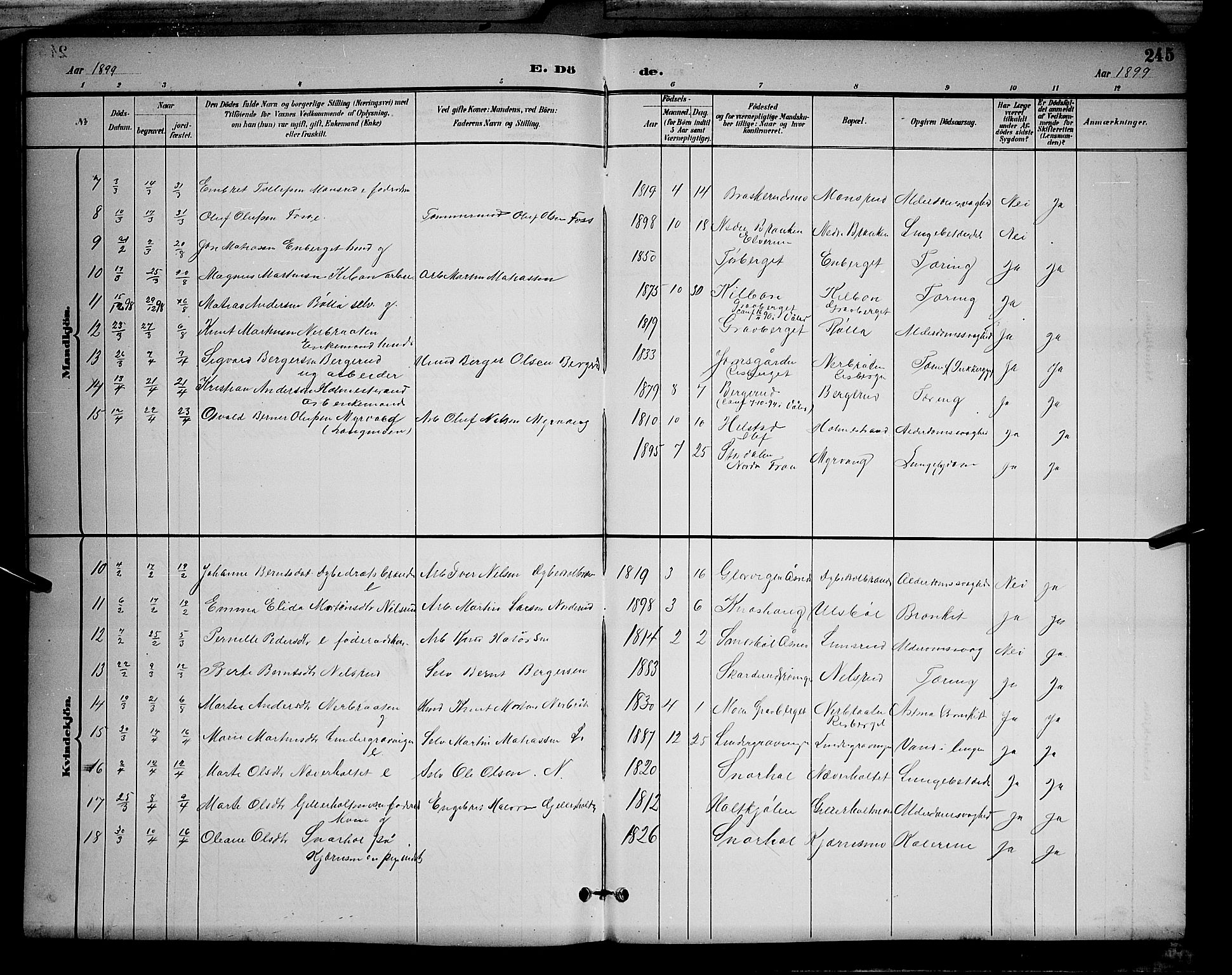 Våler prestekontor, Hedmark, AV/SAH-PREST-040/H/Ha/Hab/L0001: Klokkerbok nr. 1, 1894-1904, s. 245